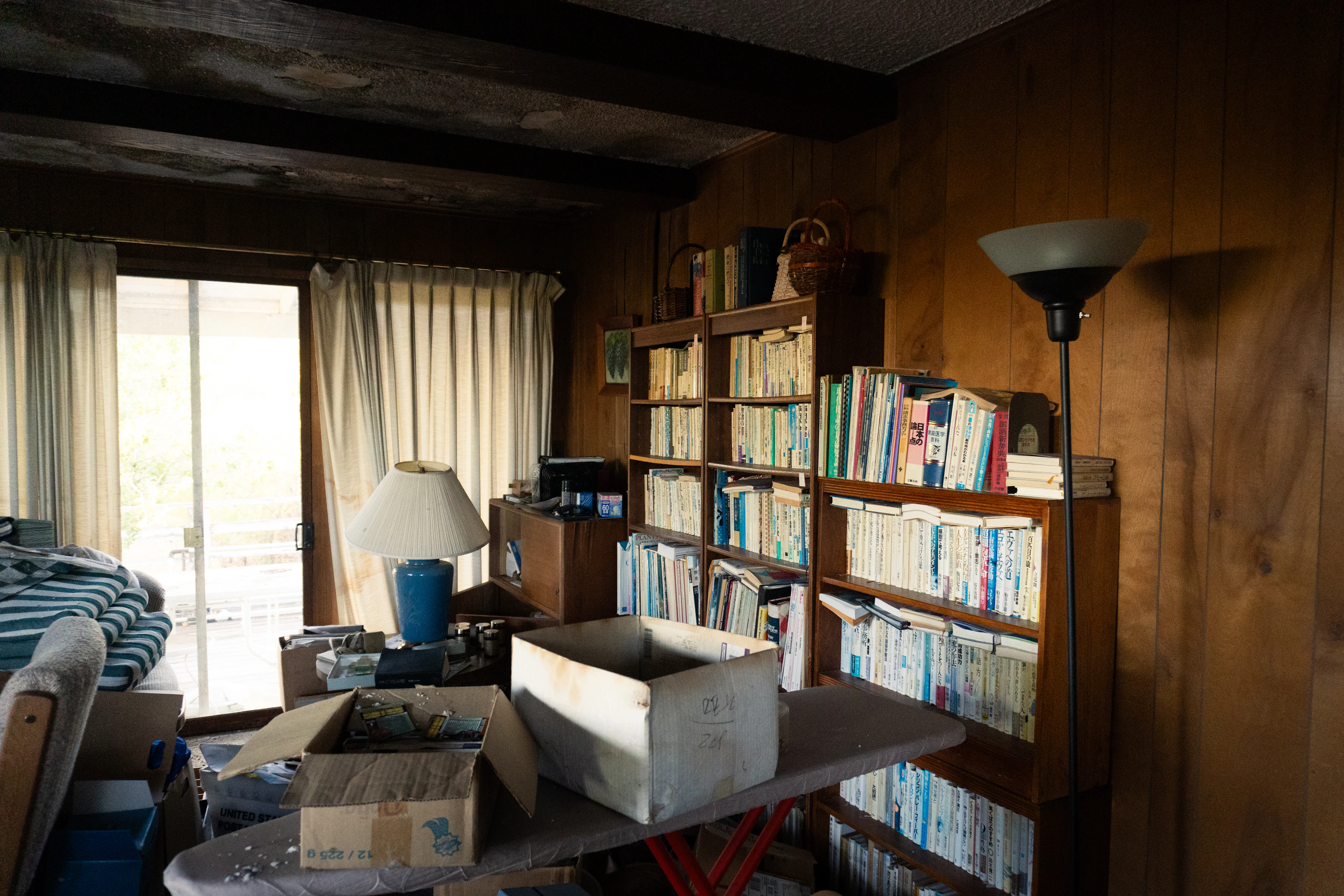 Estate Property Cleanup in Wake Forest, NC