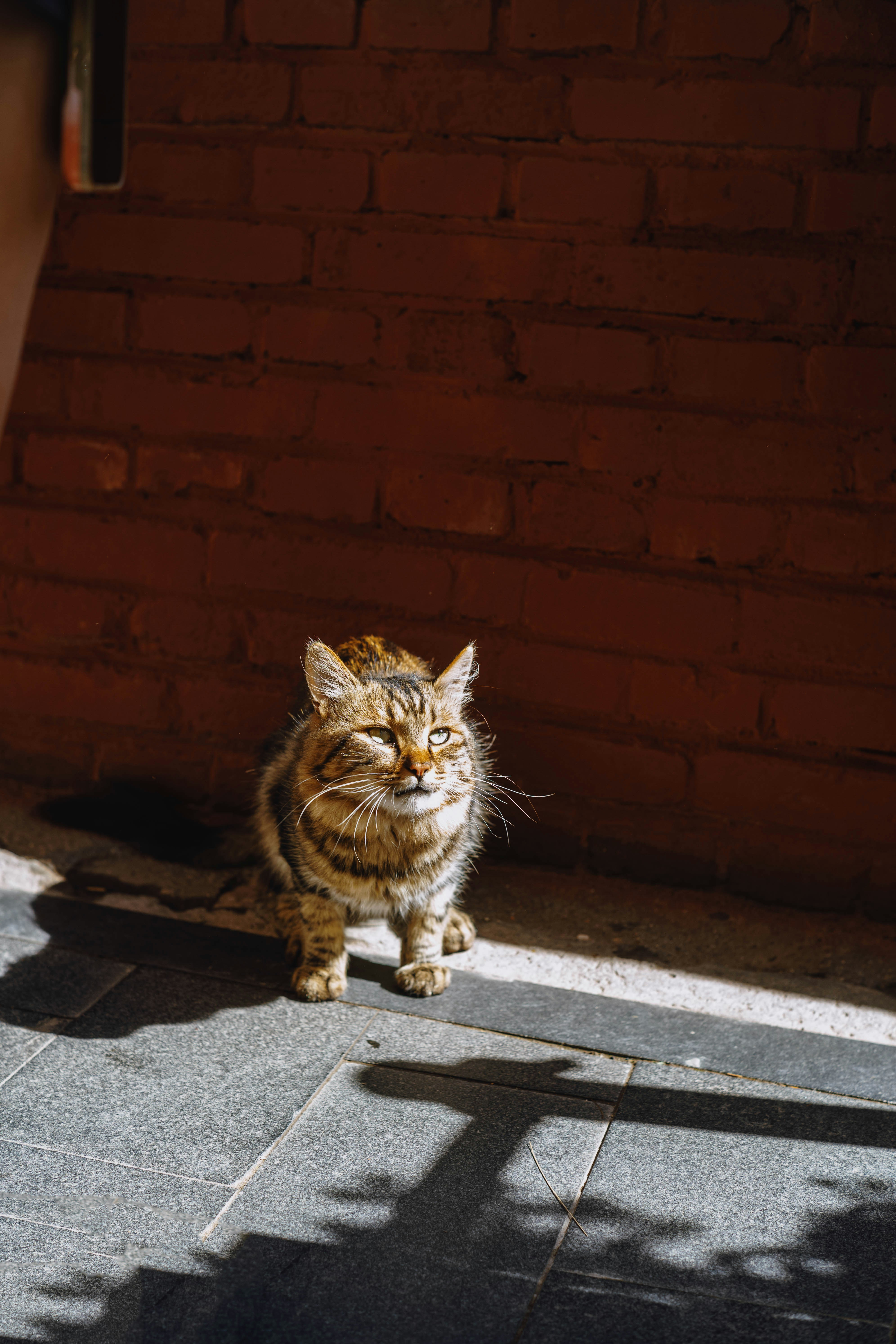 Photo by tommaomaoer