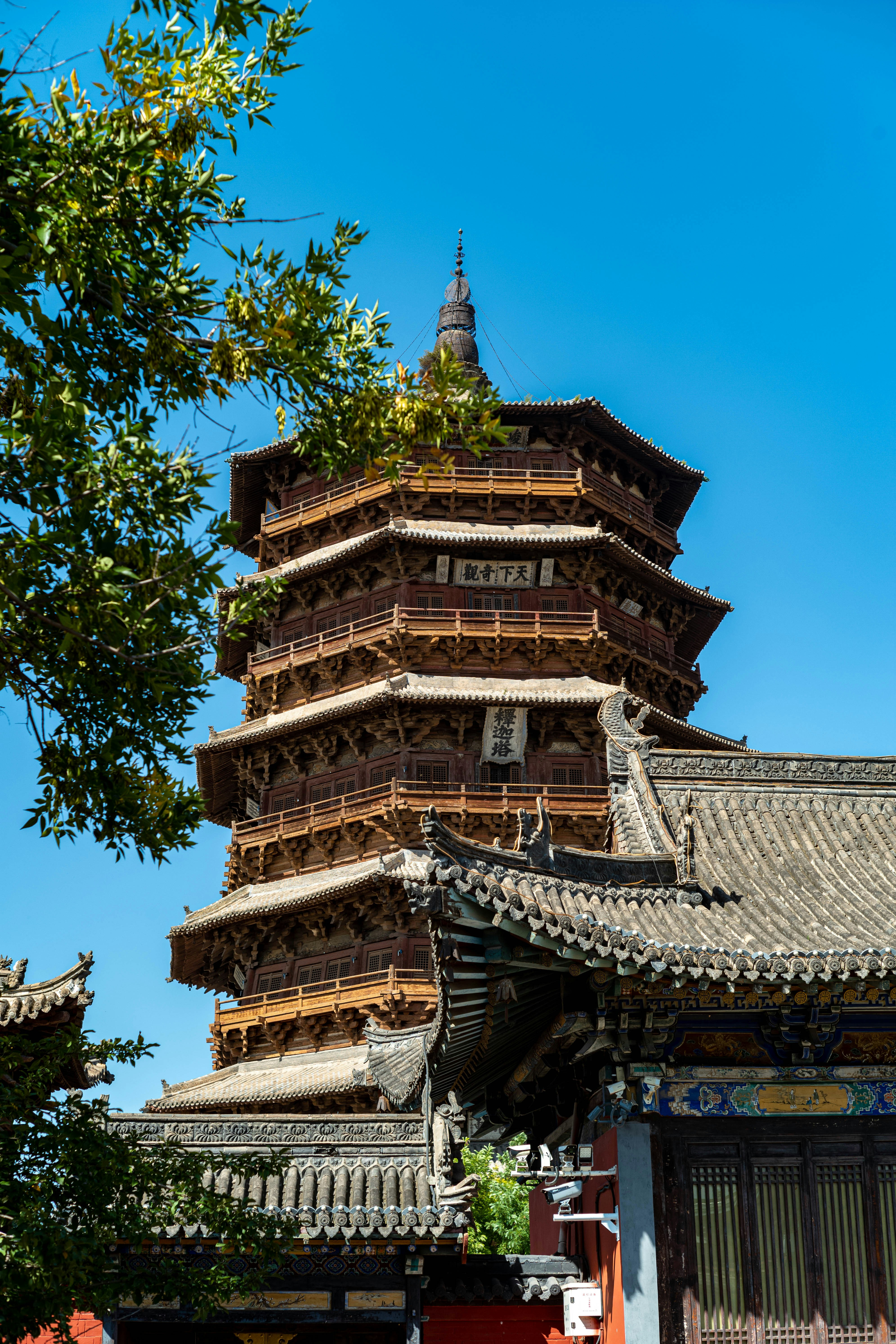 Photo by tommaomaoer