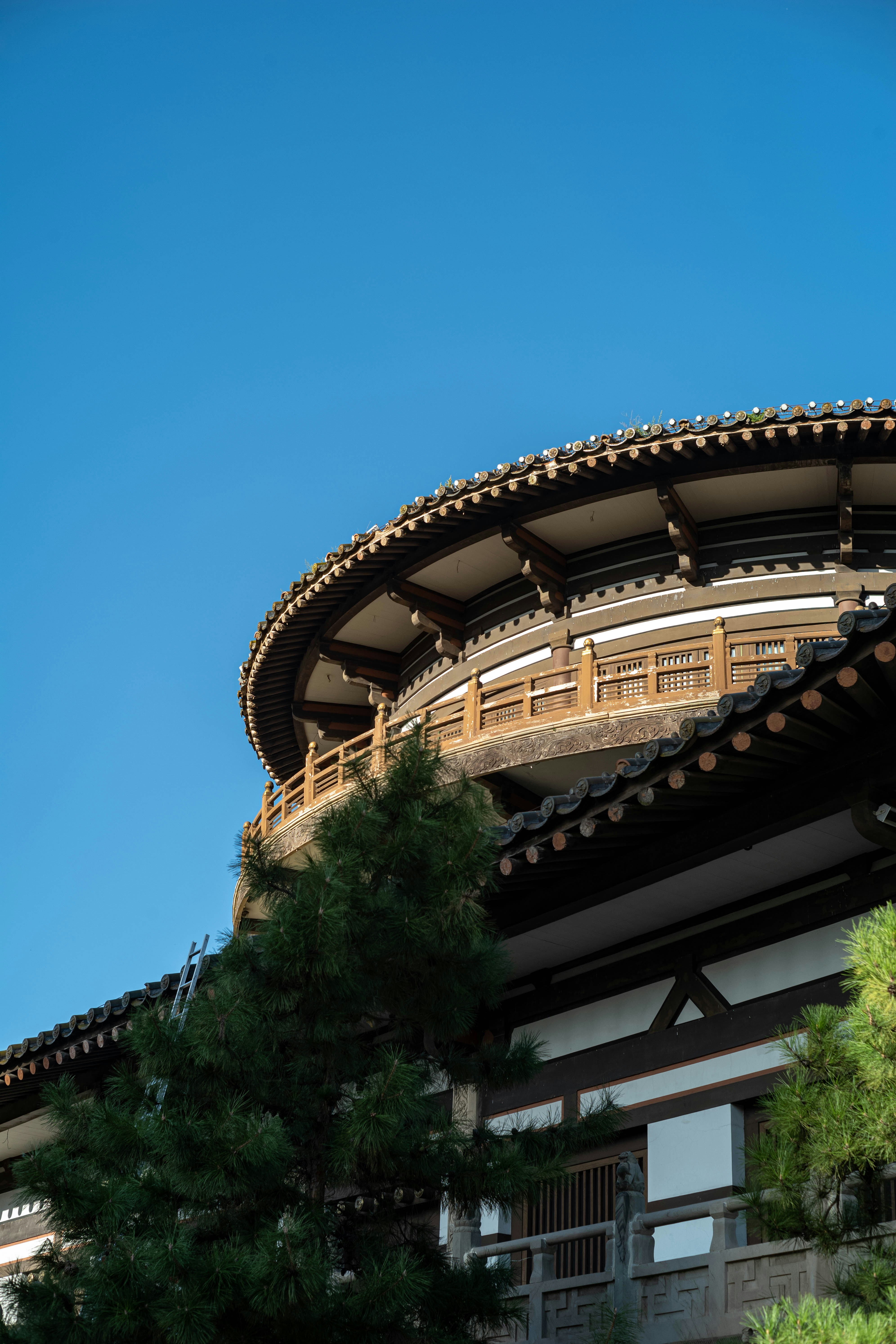 Photo by tommaomaoer