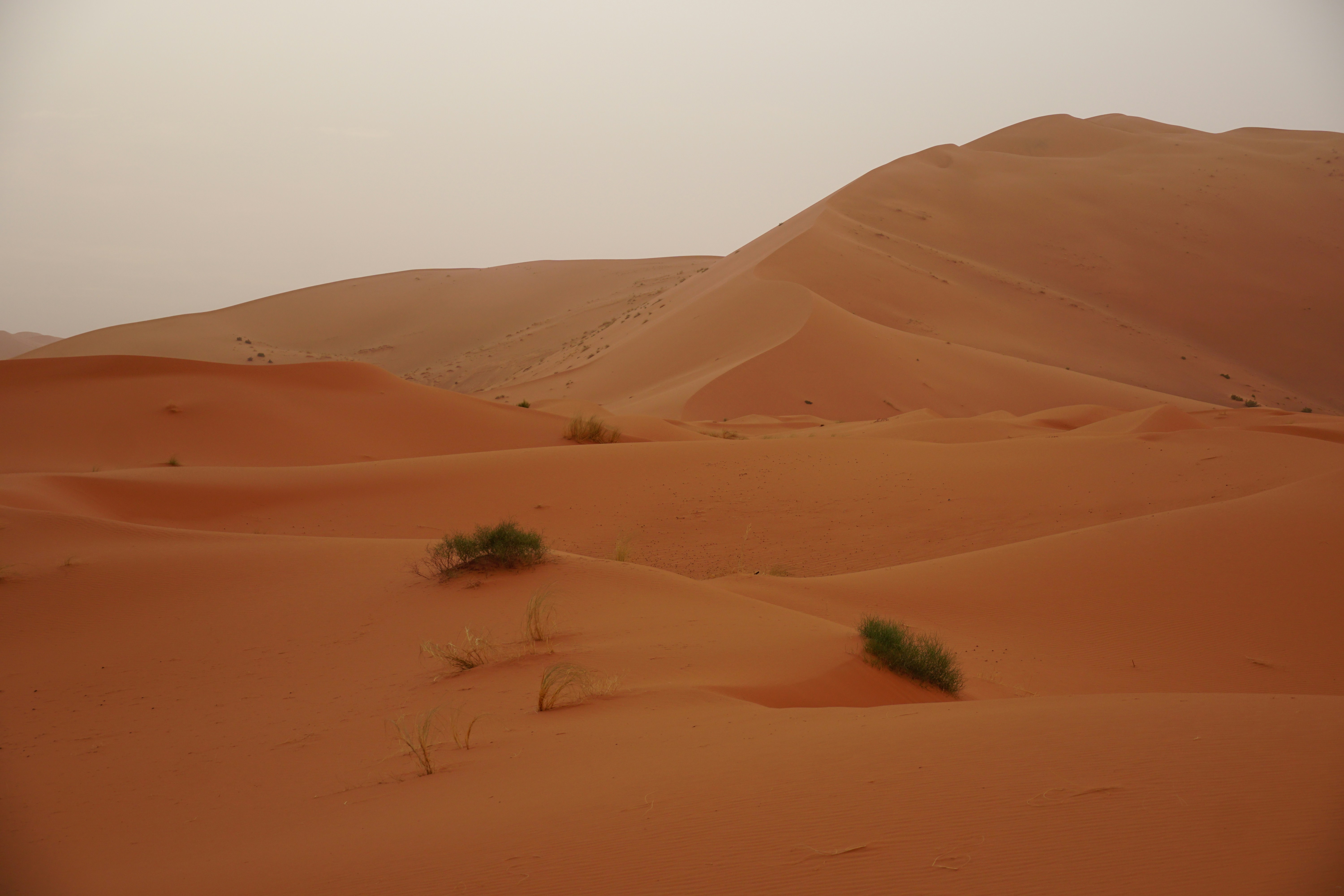 Photo by qld_traveller