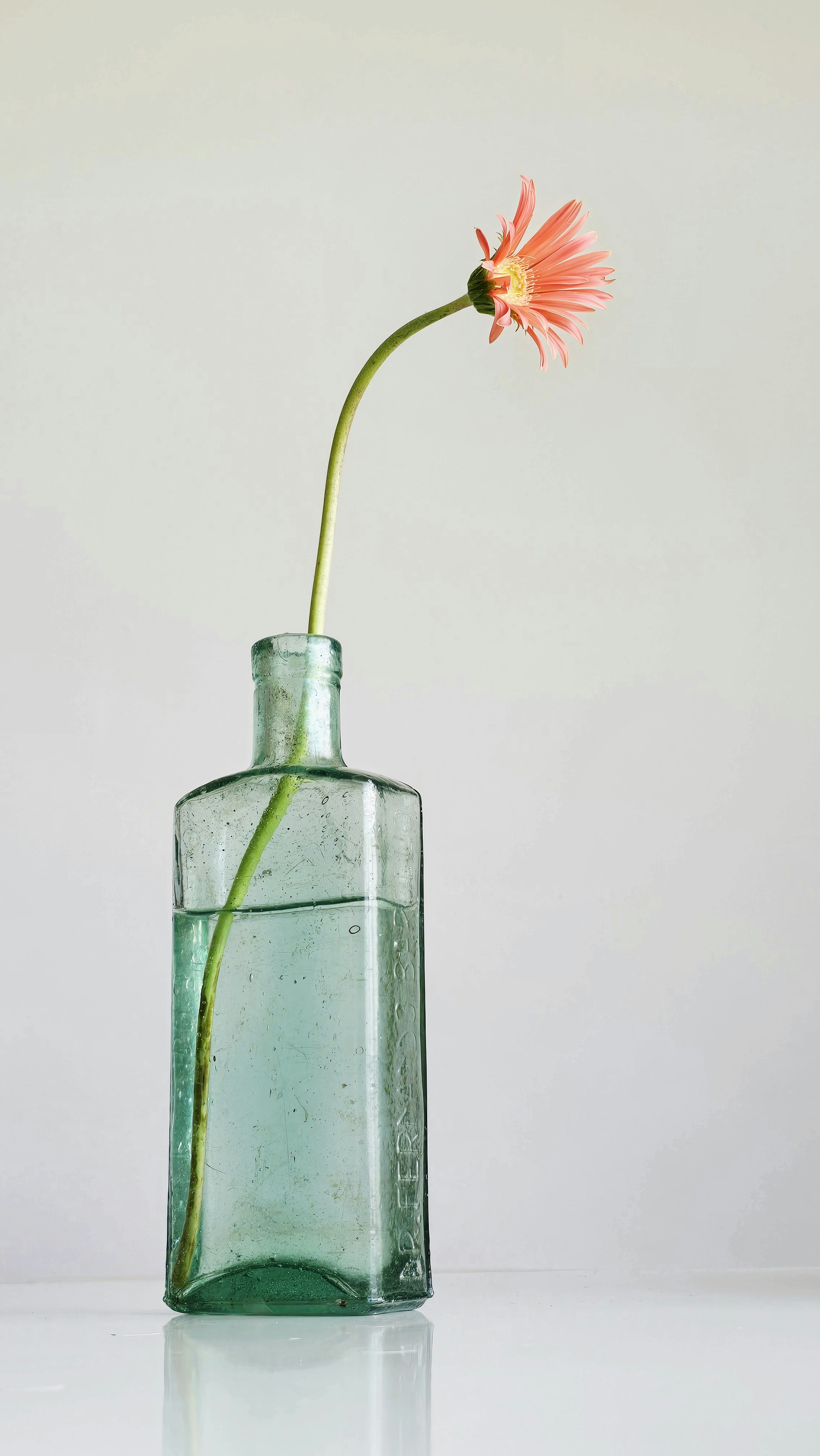 Photo by meanwhile_estela