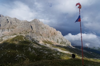 Trekking Pole Features Explained â Locks, Weight, Tips