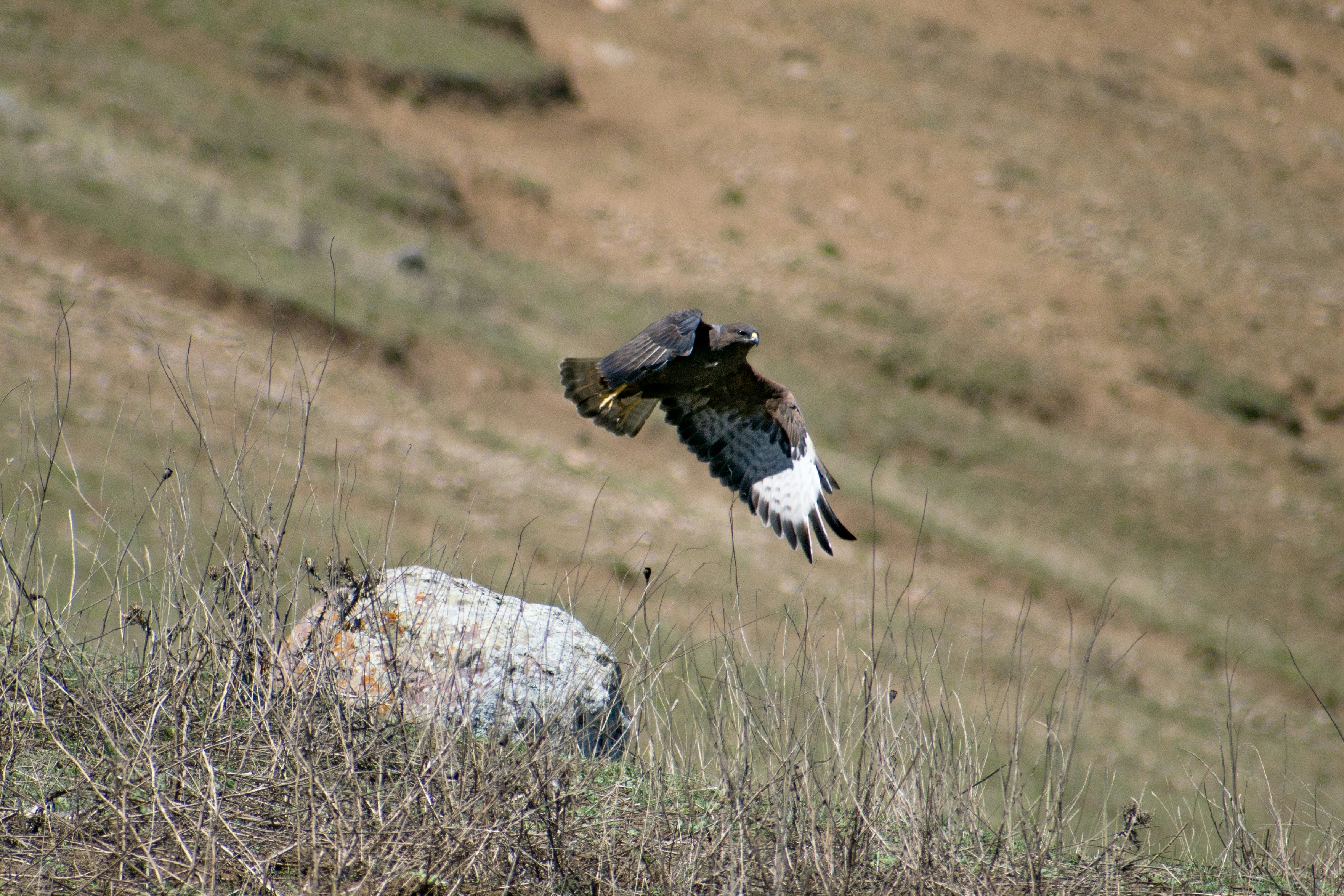 Photo by shirinsaleki