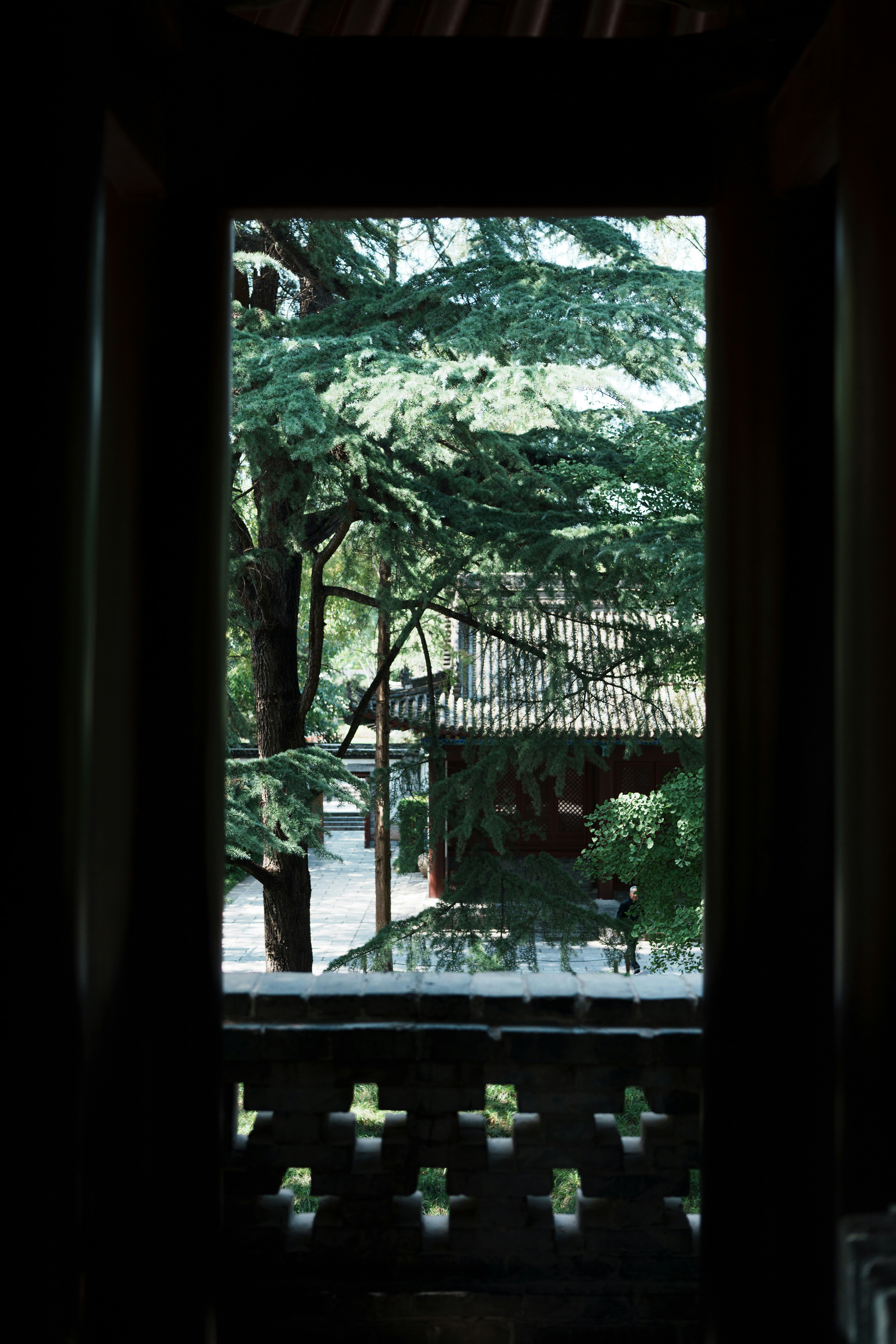 Photo by toxicsmoker