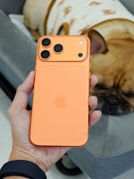 Hand holding orange smartphone with dog in background