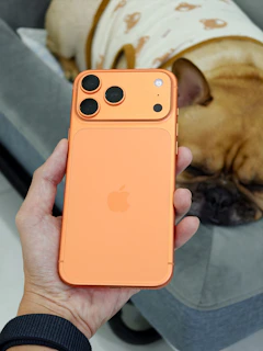 Hand holding orange smartphone with dog in background