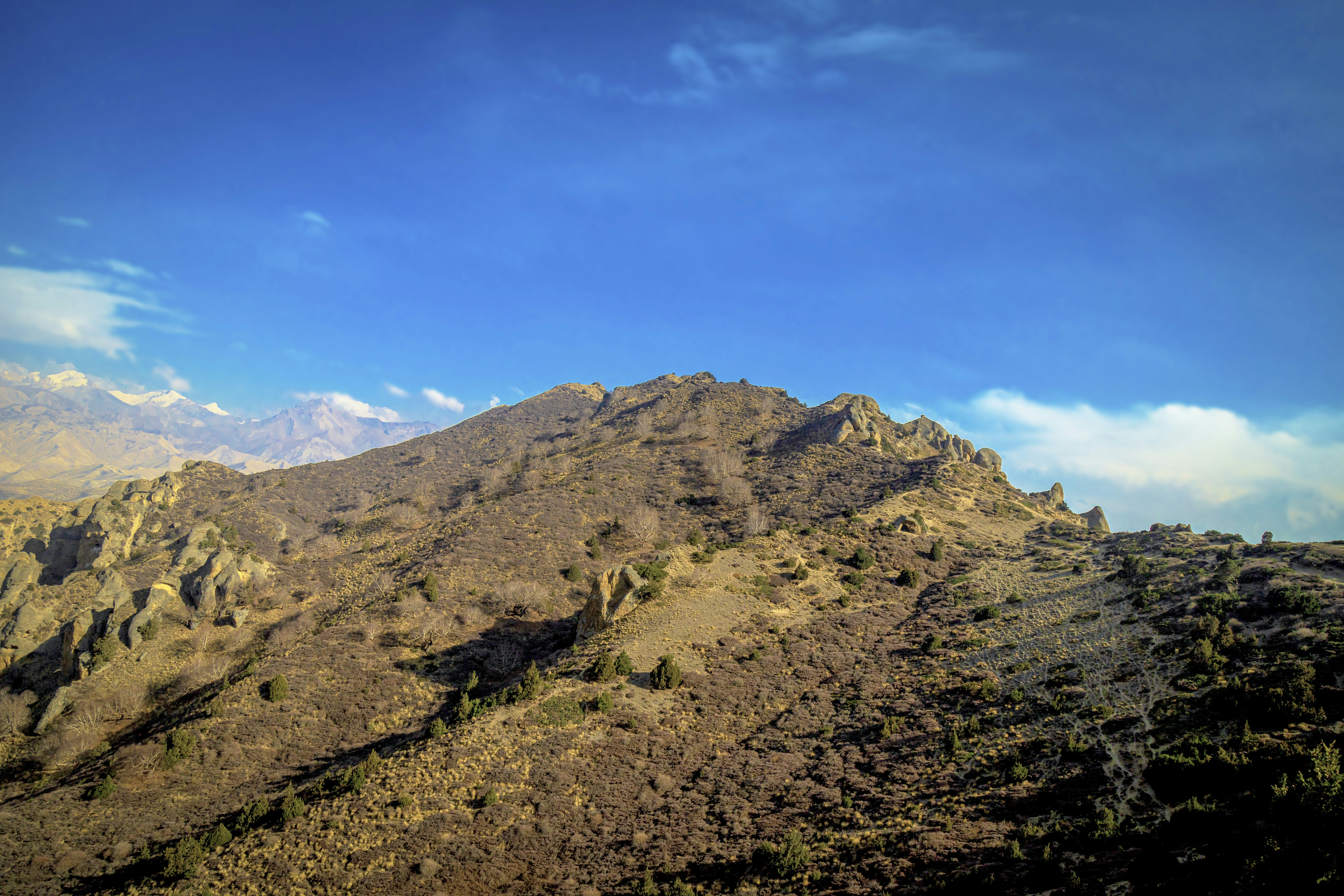 Photo by ashokjkshetri