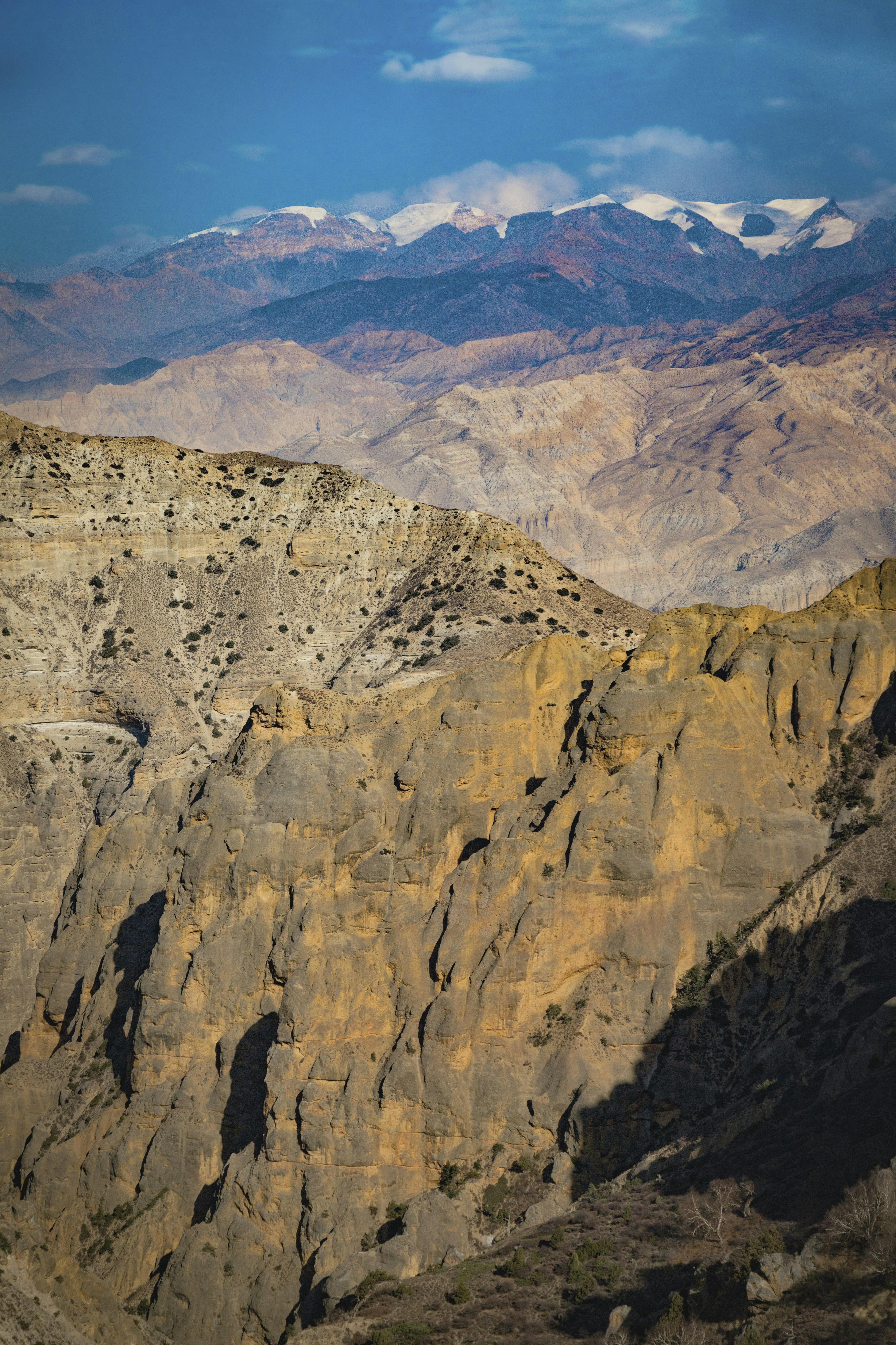 Photo by ashokjkshetri