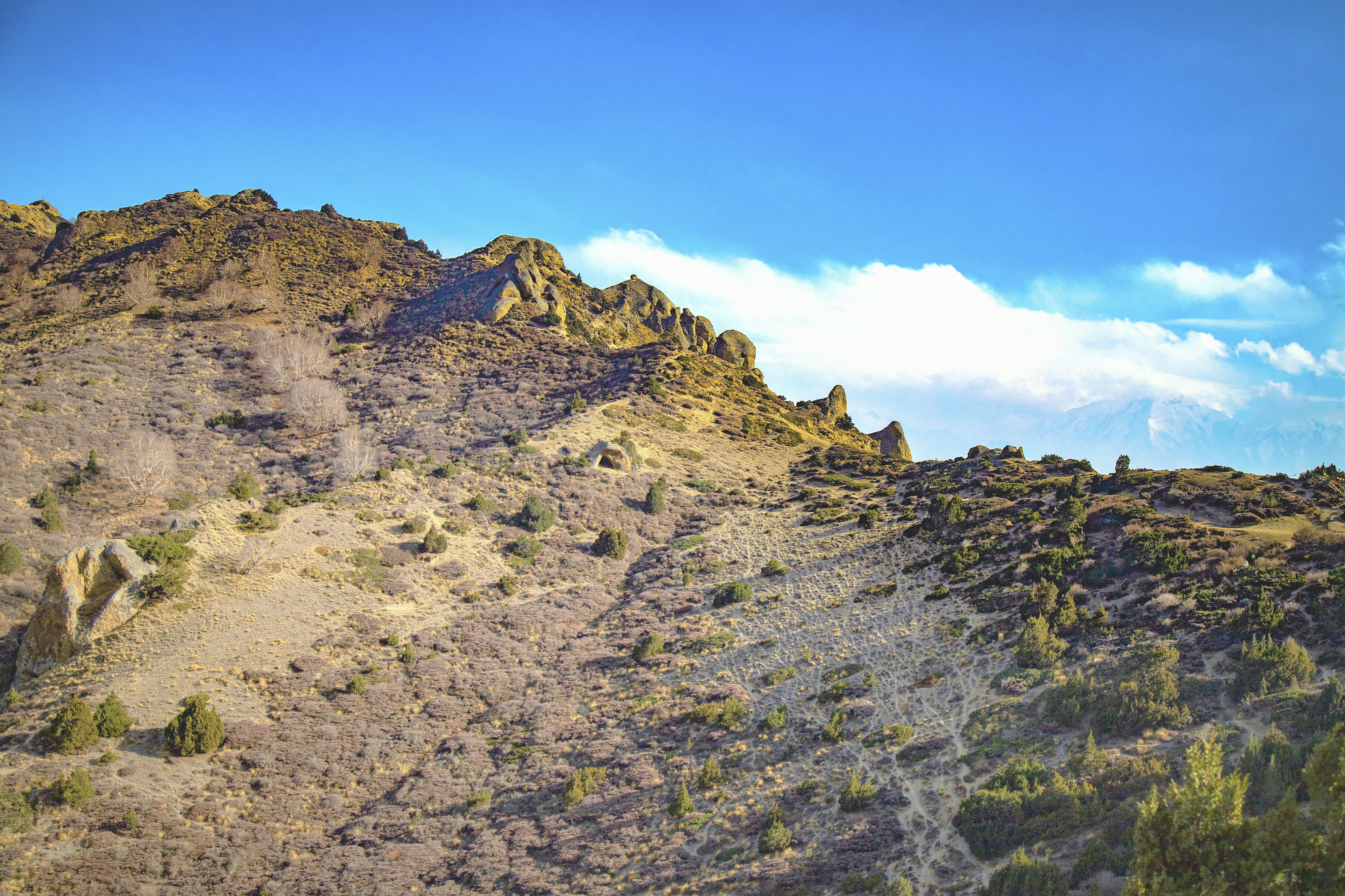 Photo by ashokjkshetri