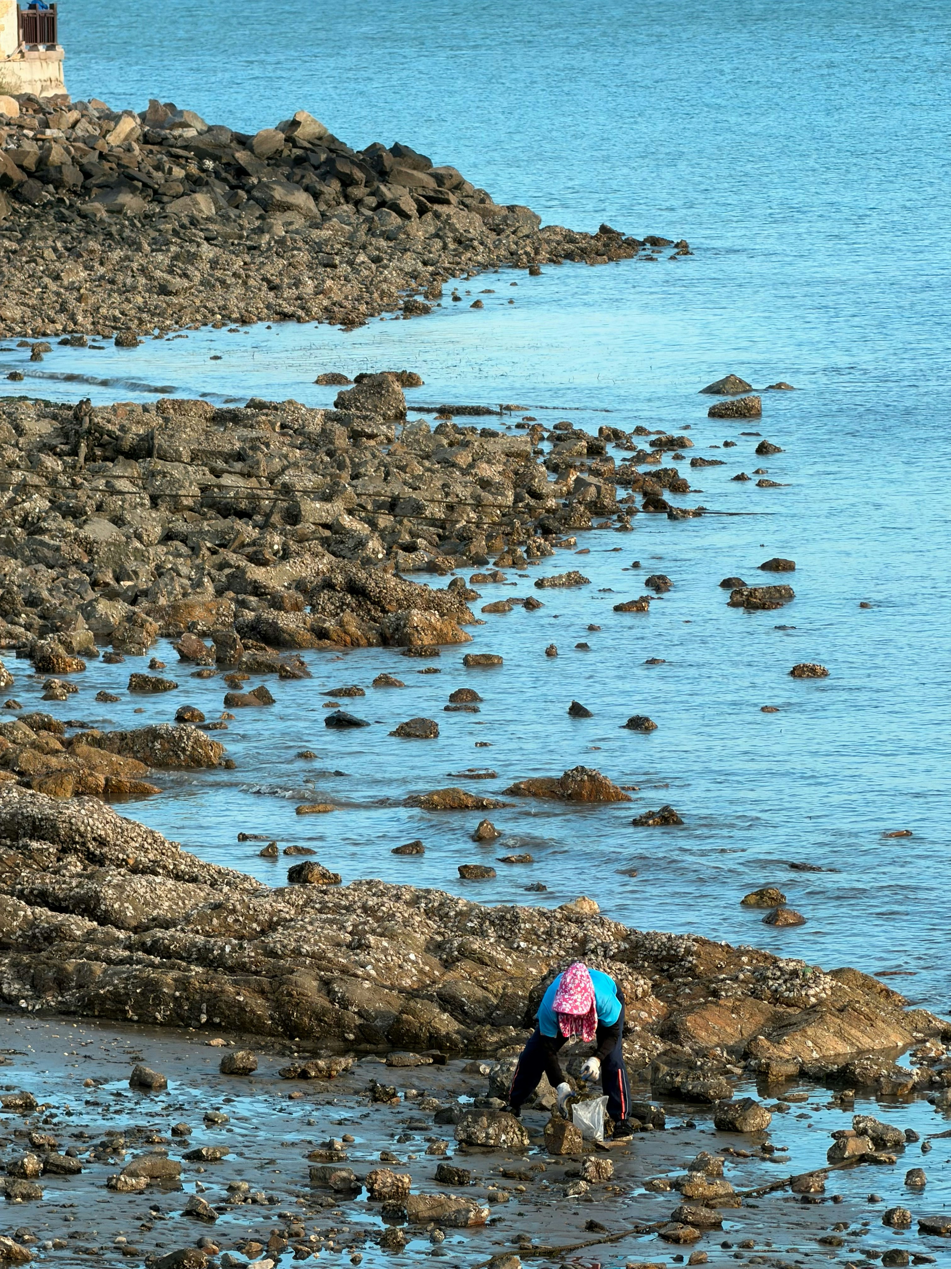 Person, die Schalentiere an einem felsigen Ufer sammelt.