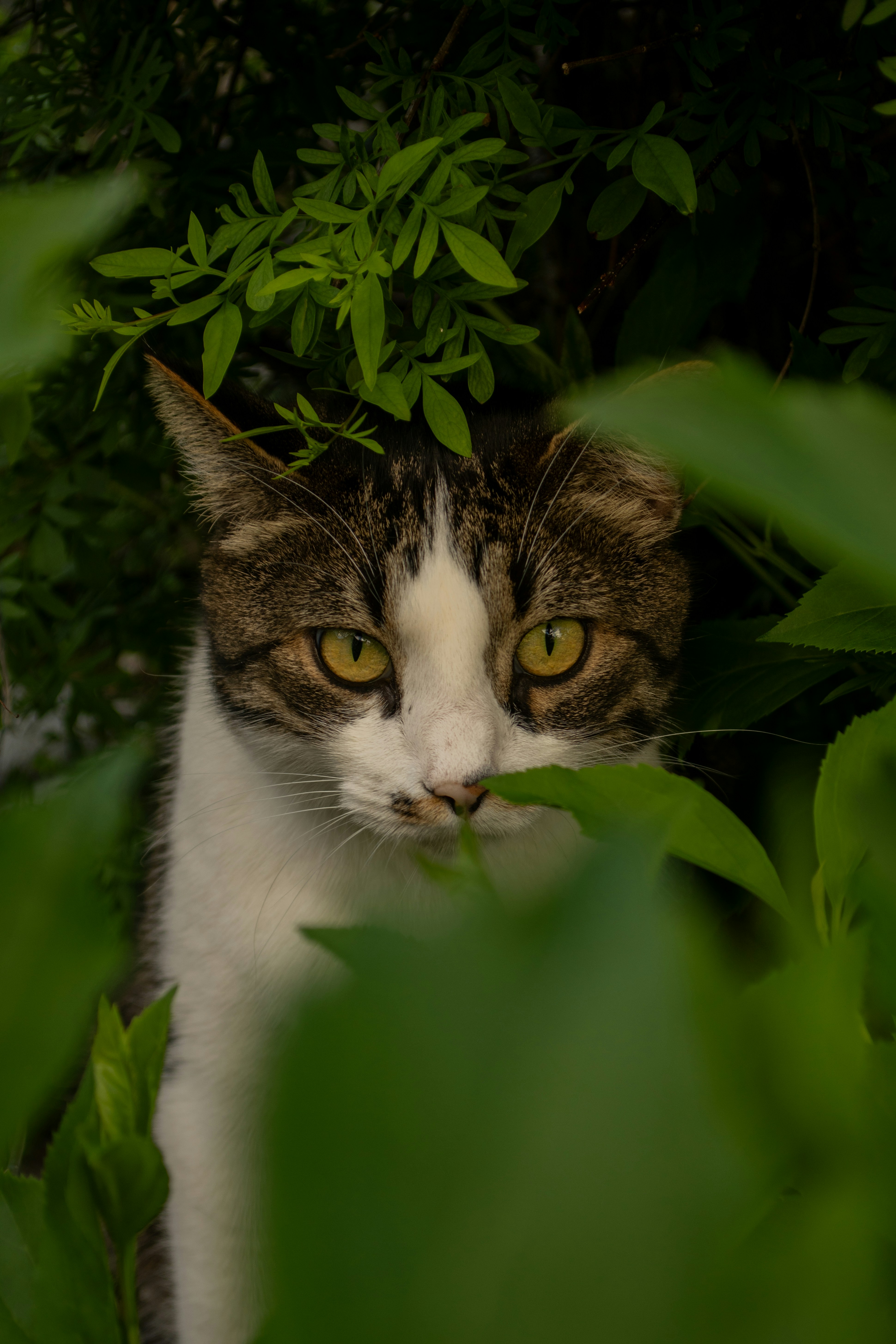 Photo by _chin_davide