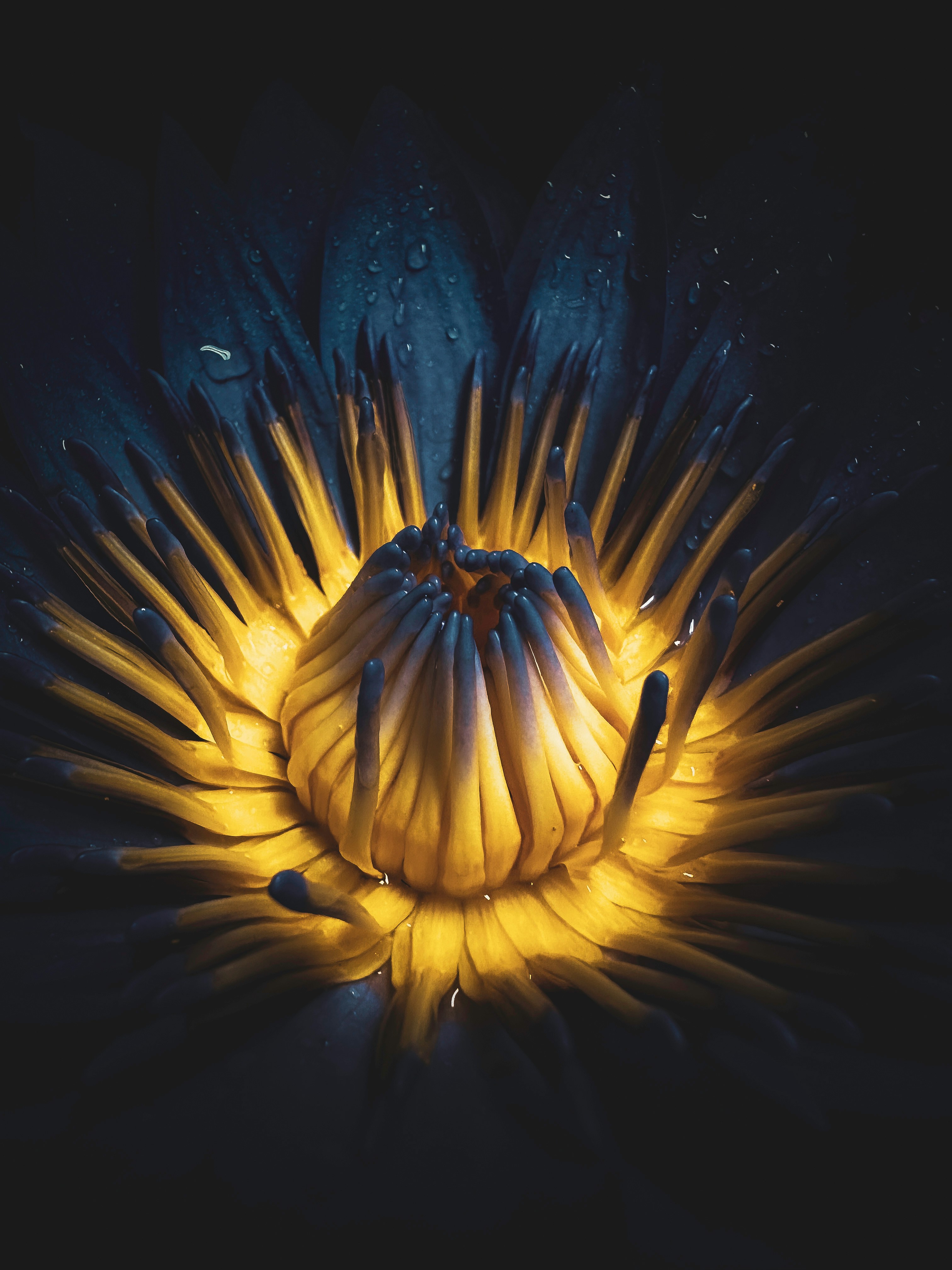 Photo by iamdivyanshdwivedi