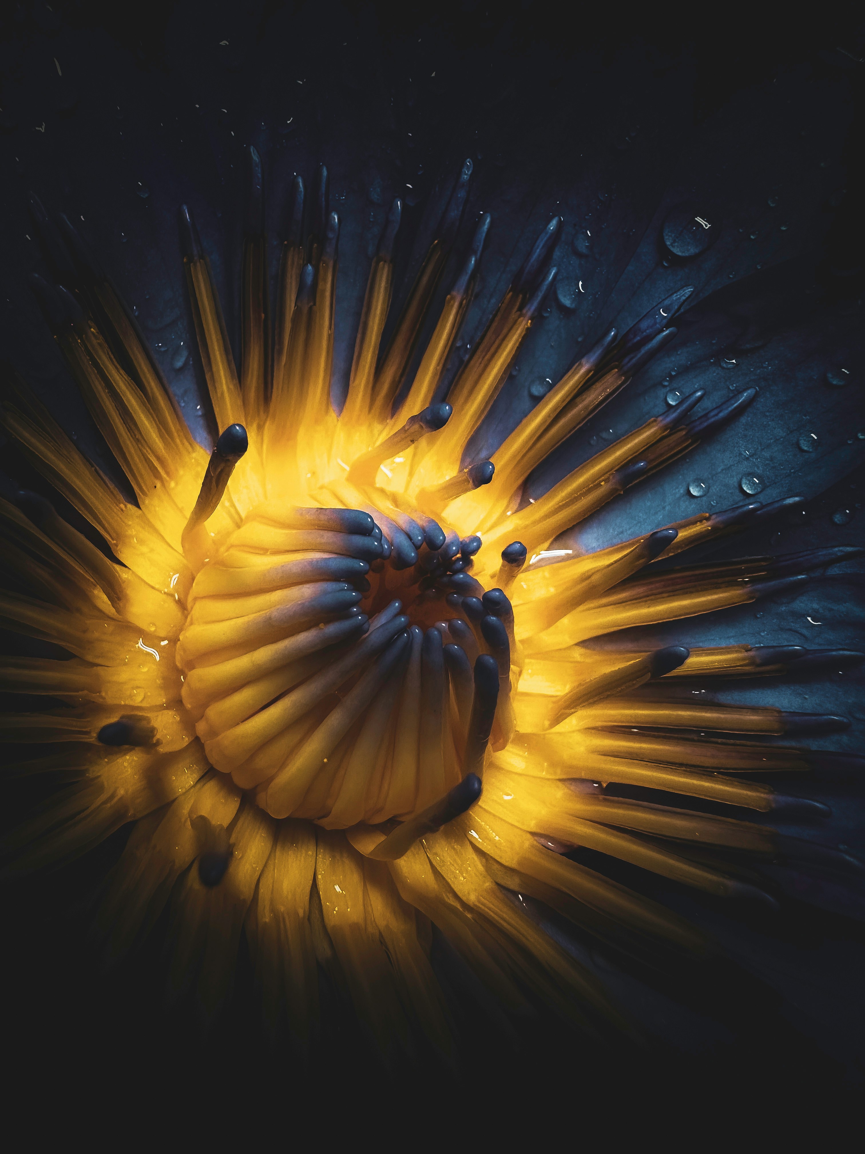 Photo by iamdivyanshdwivedi