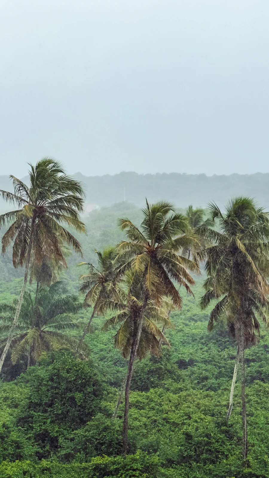 Public weather forecast for the Kiribati Group and Banaba