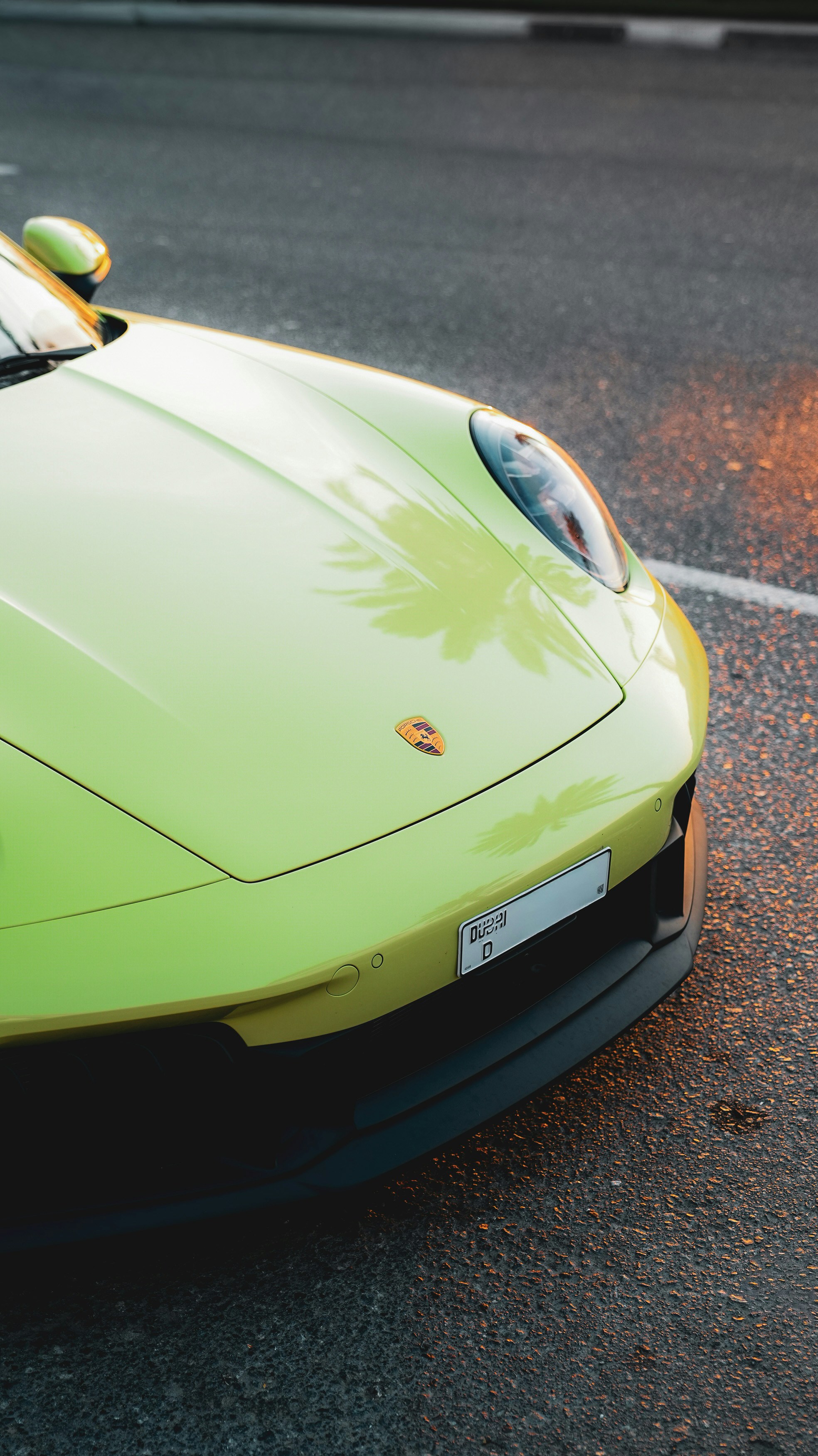 Photo by salman_sidheek