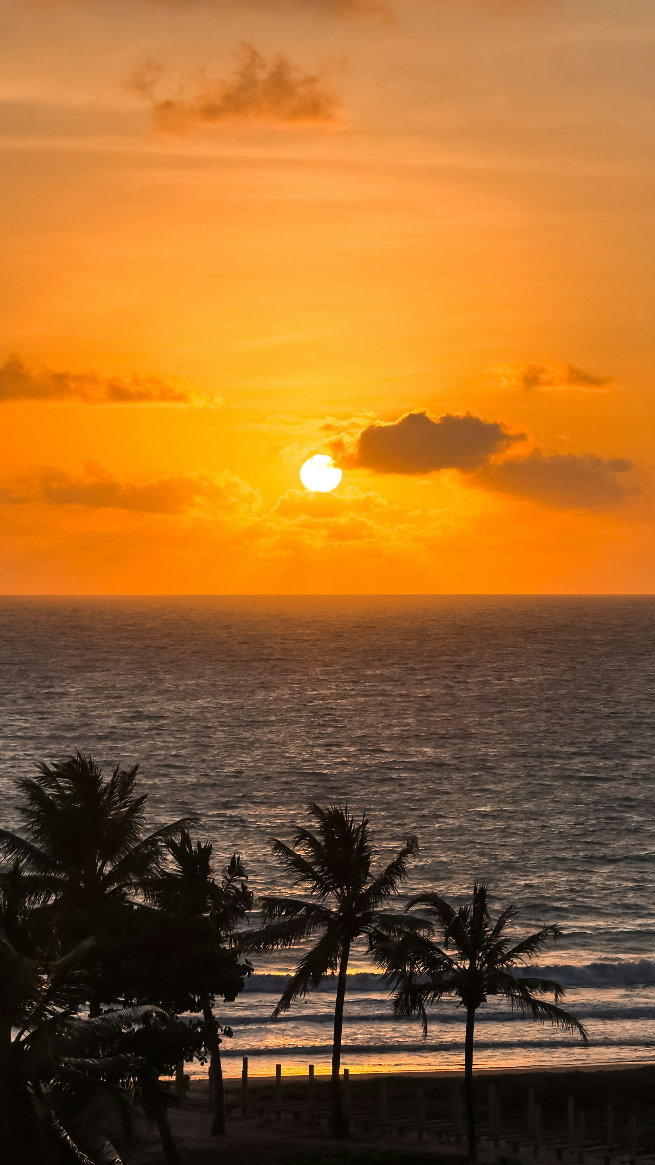 Photo by thiagojapyassu