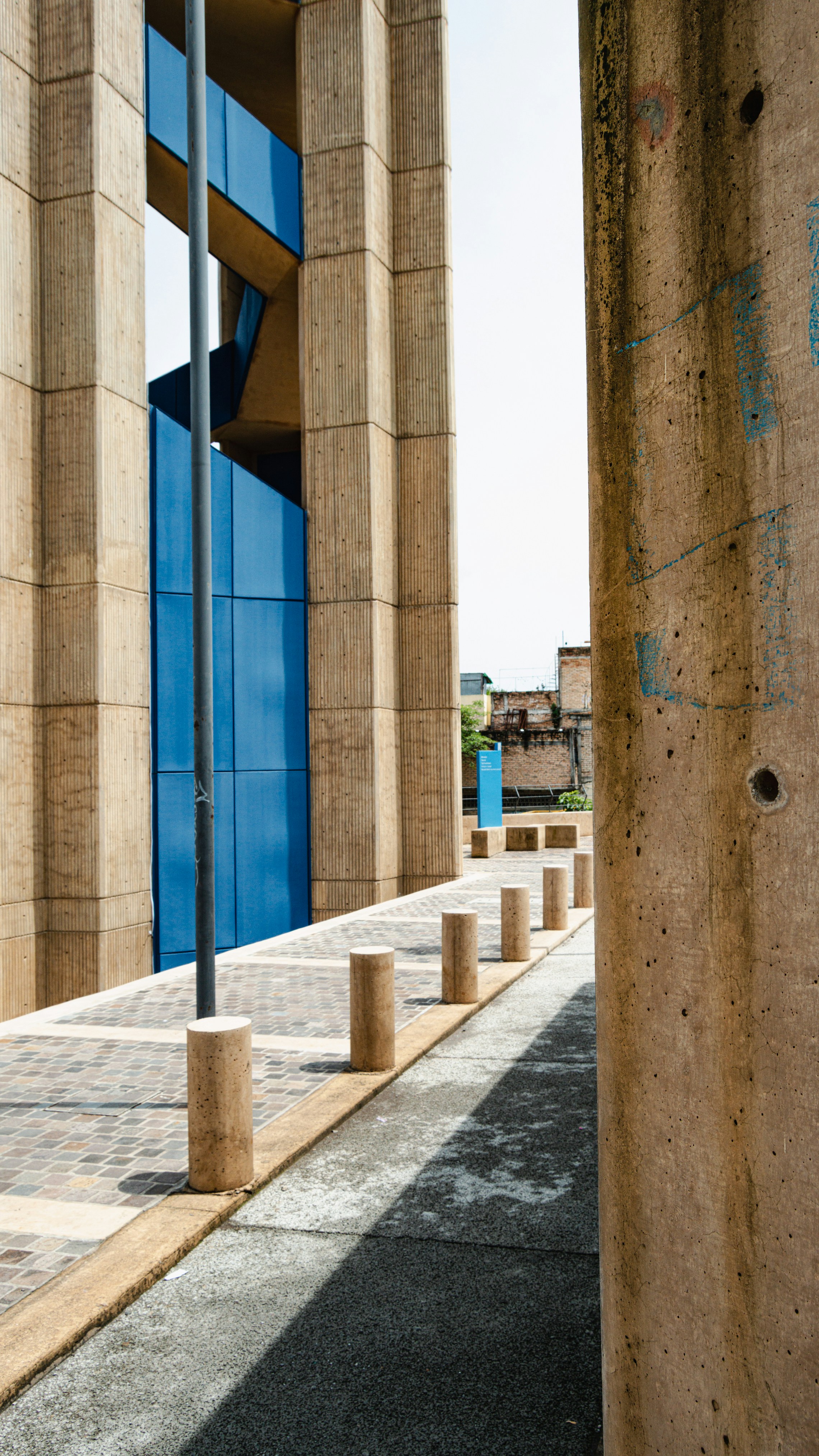 Photo by alan_figueroa14