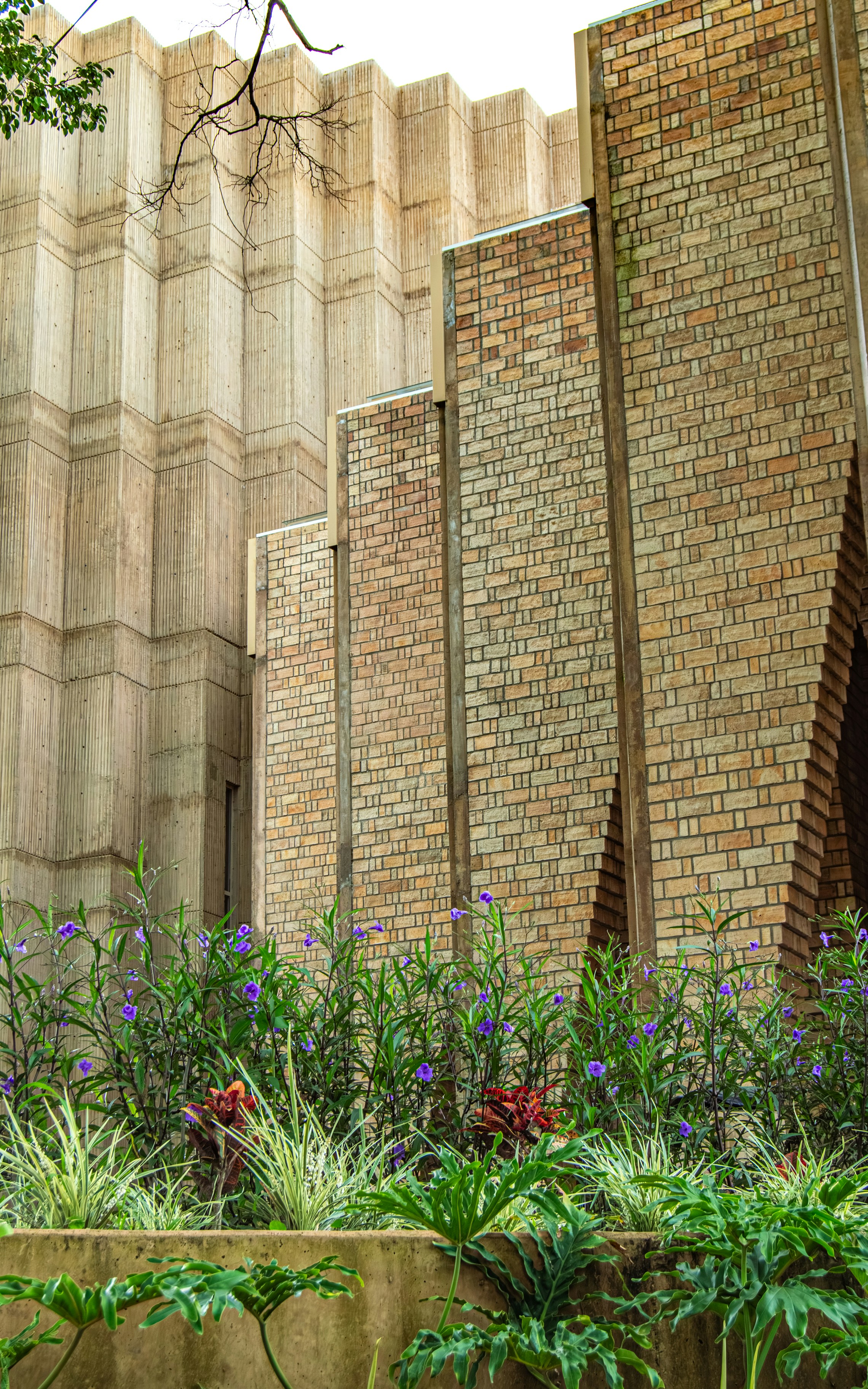 Photo by alan_figueroa14