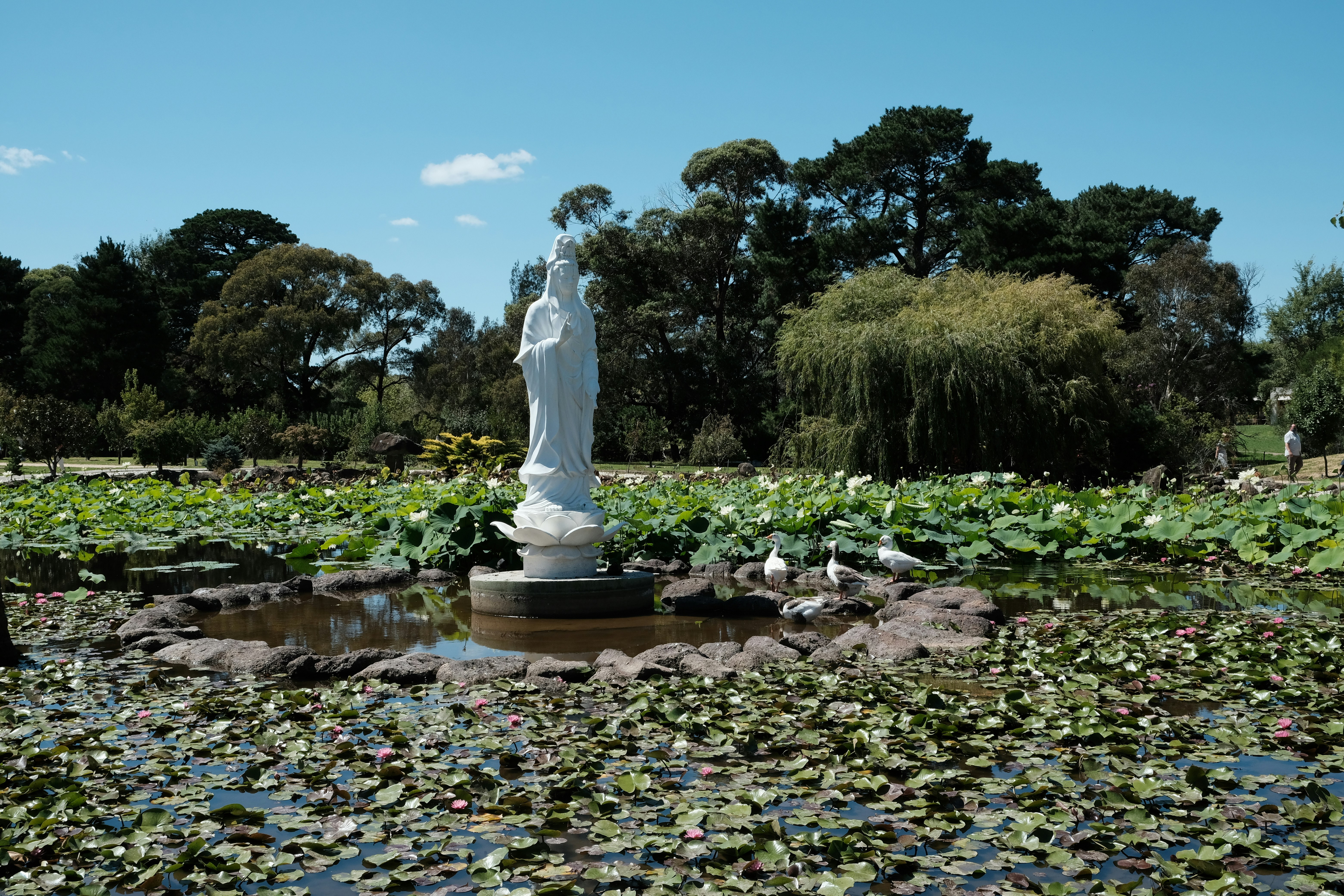 Mindful meditation space