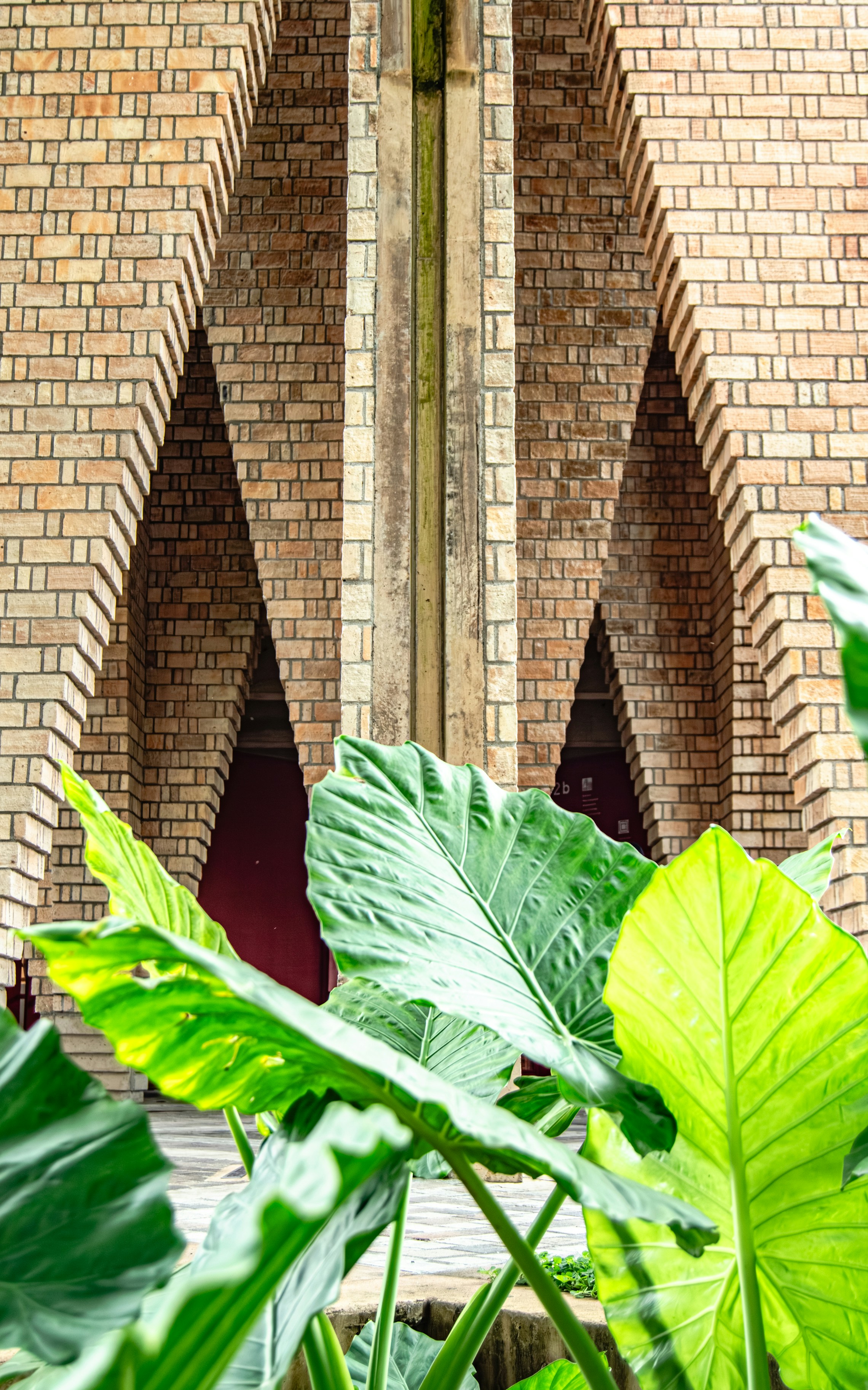 Large green leaves in front of a brick building.
