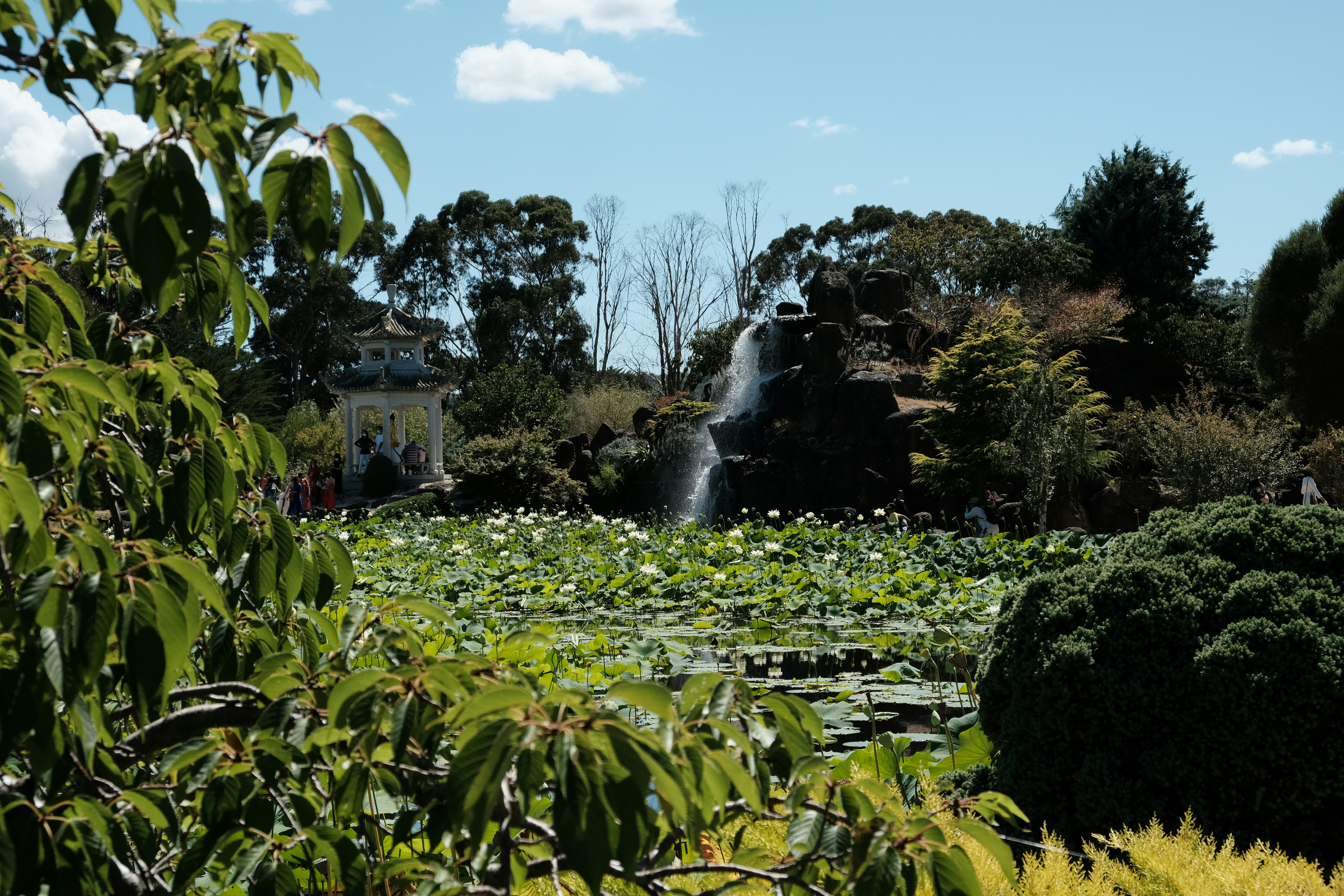 Image by Mavis M. via Unsplash