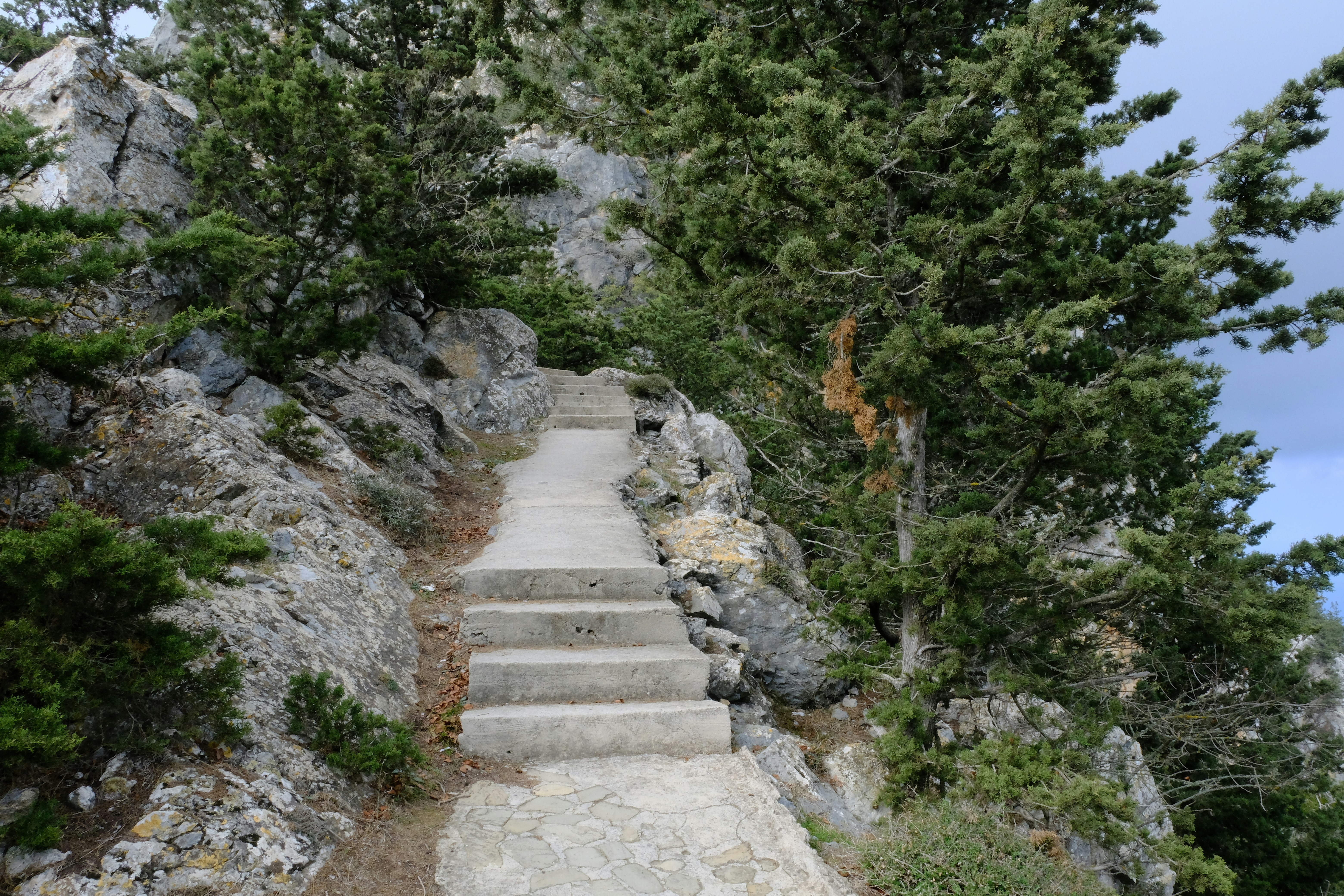 Hiking boots and trail outdoor — BroadToeBox