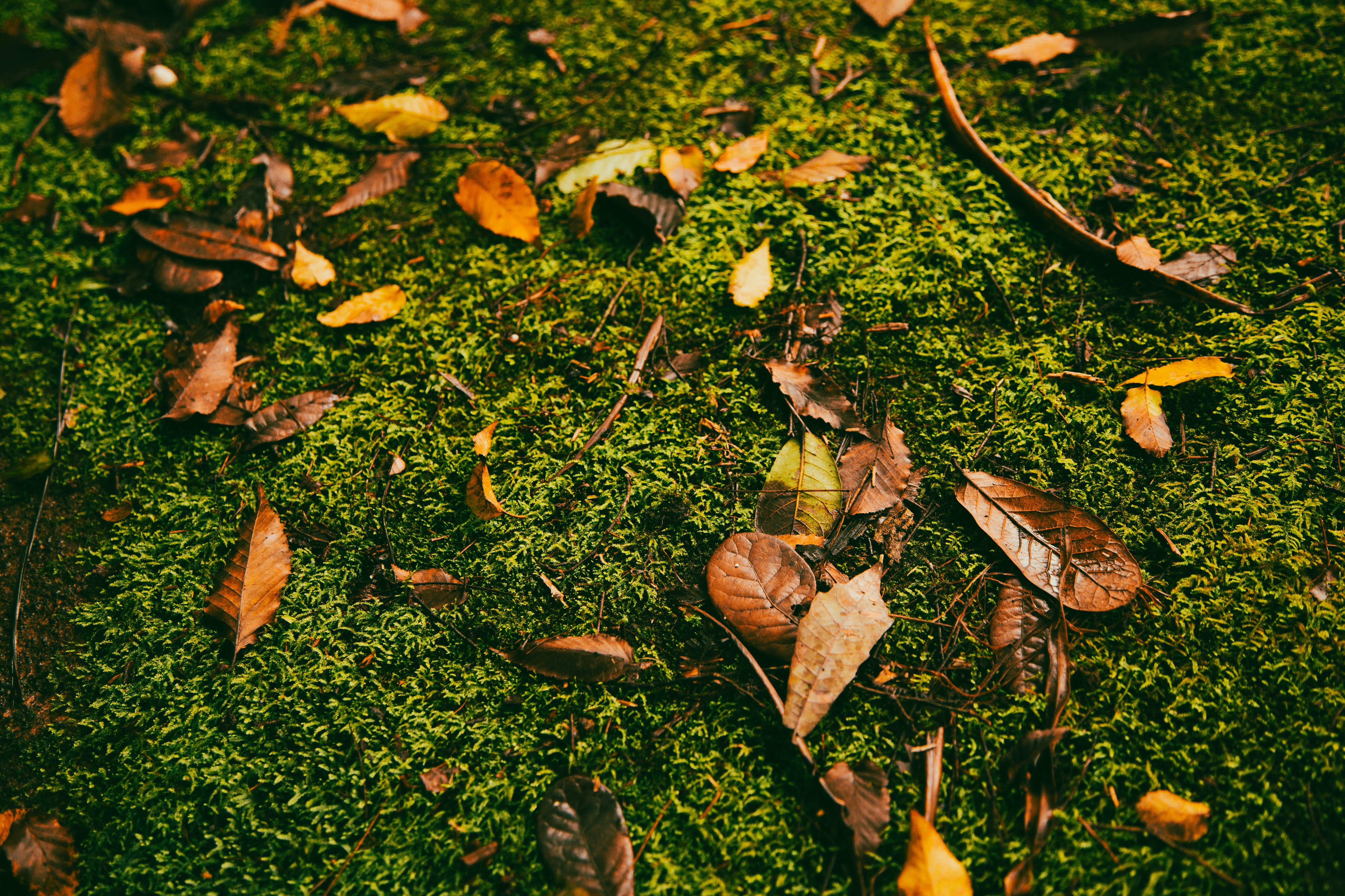 Photo by leonardodbi