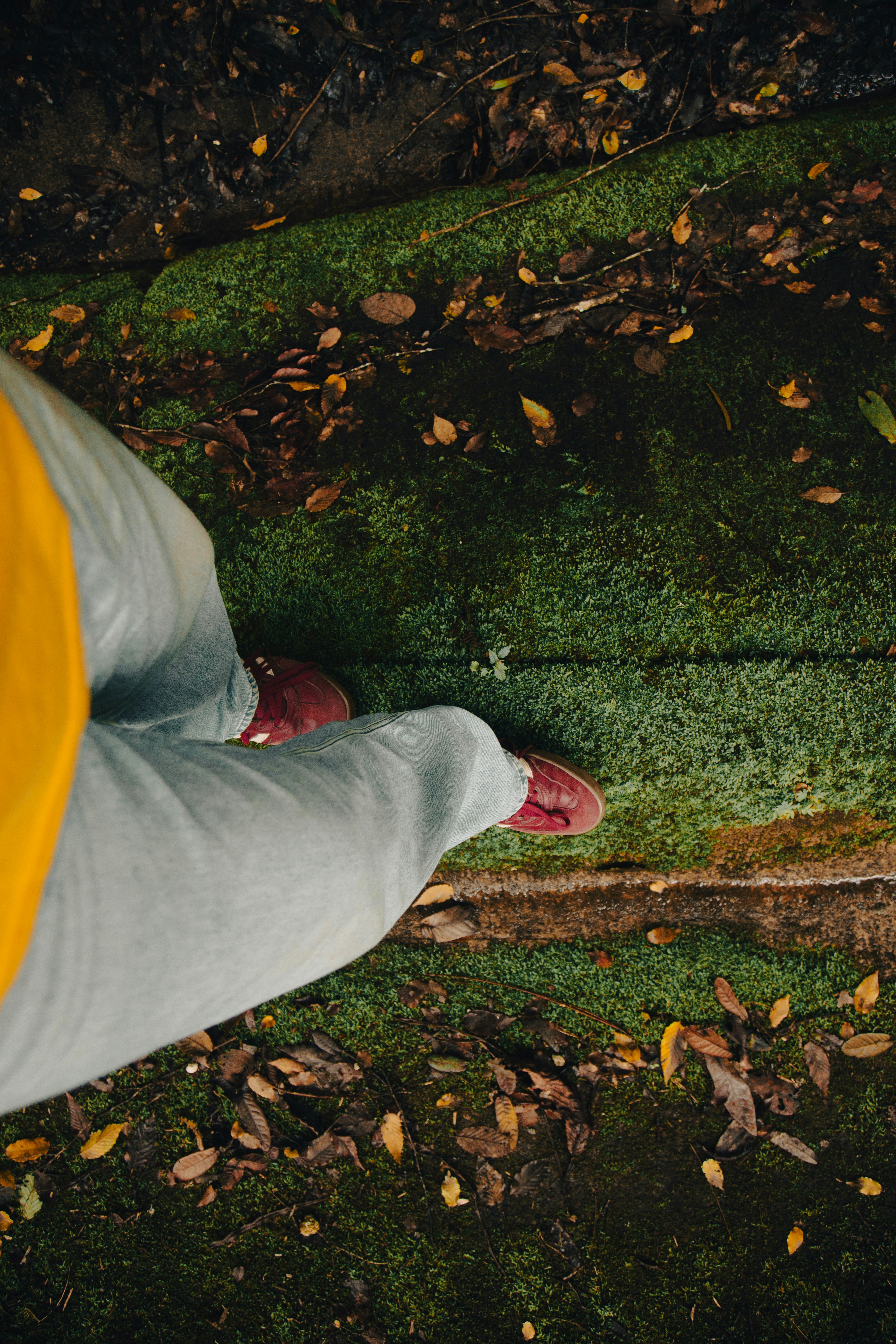 Photo by leonardodbi