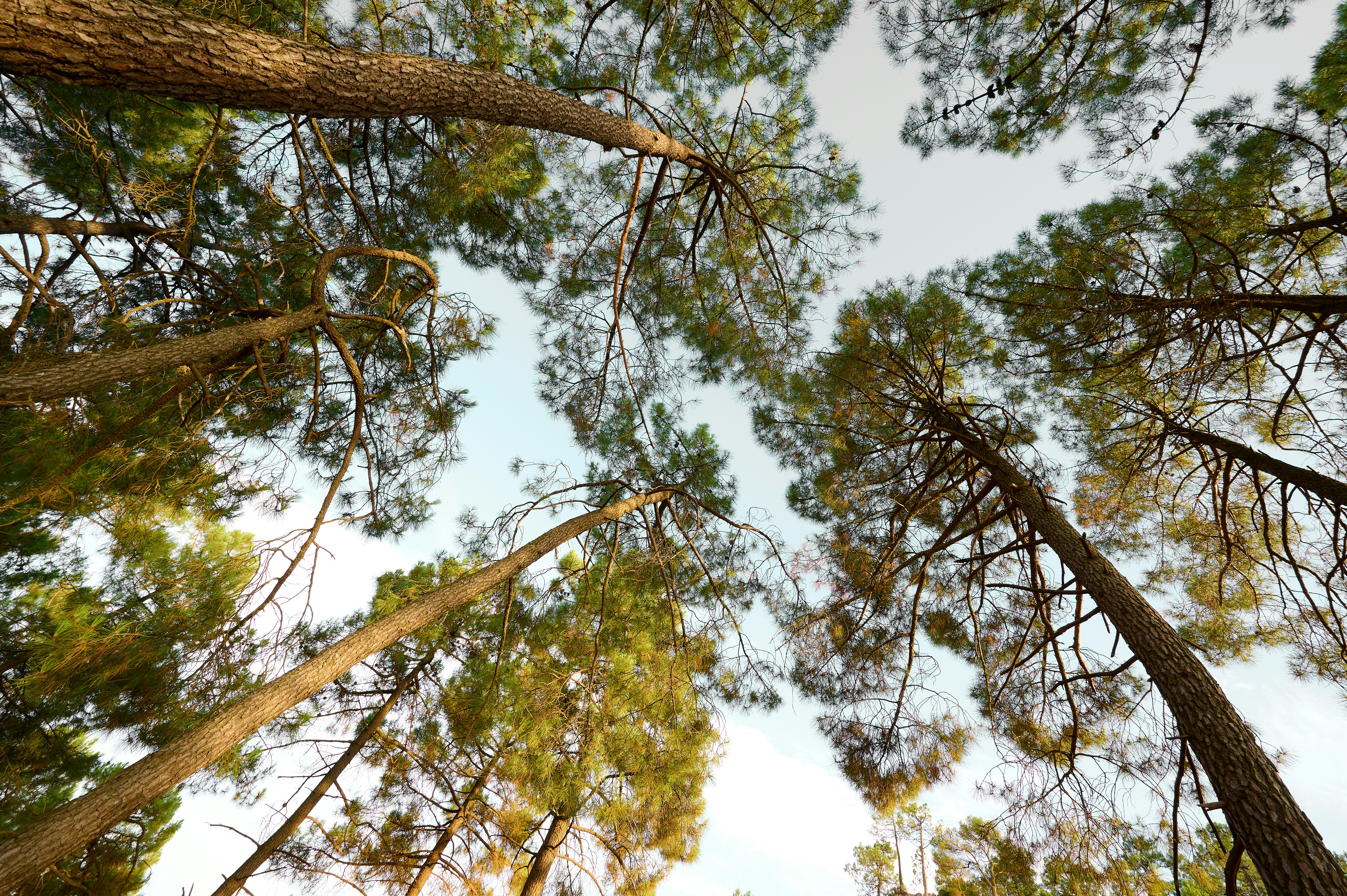 Photo by greg_pix_25