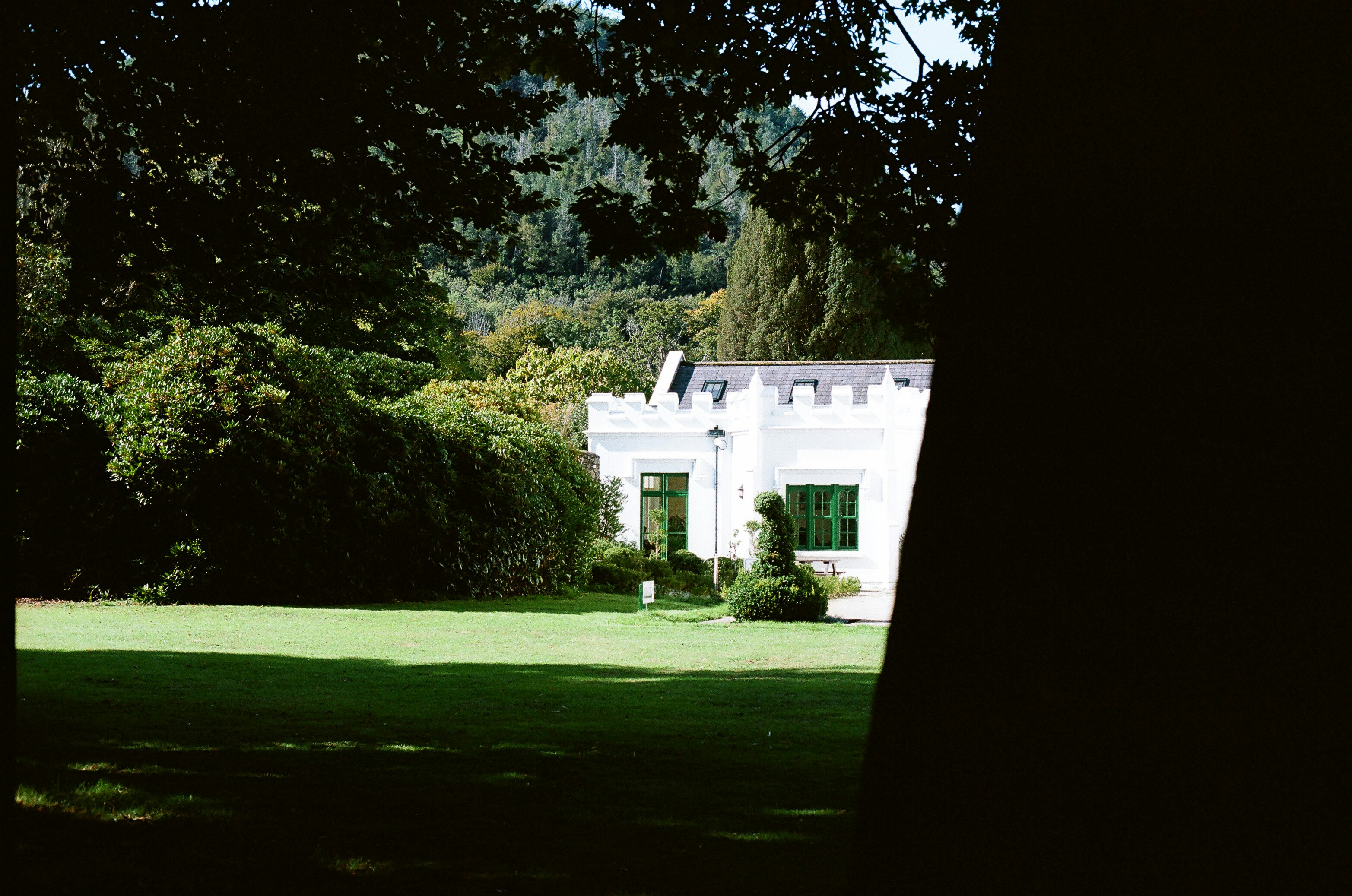 Edificio blanco con ventanas verdes rodeado de árboles.