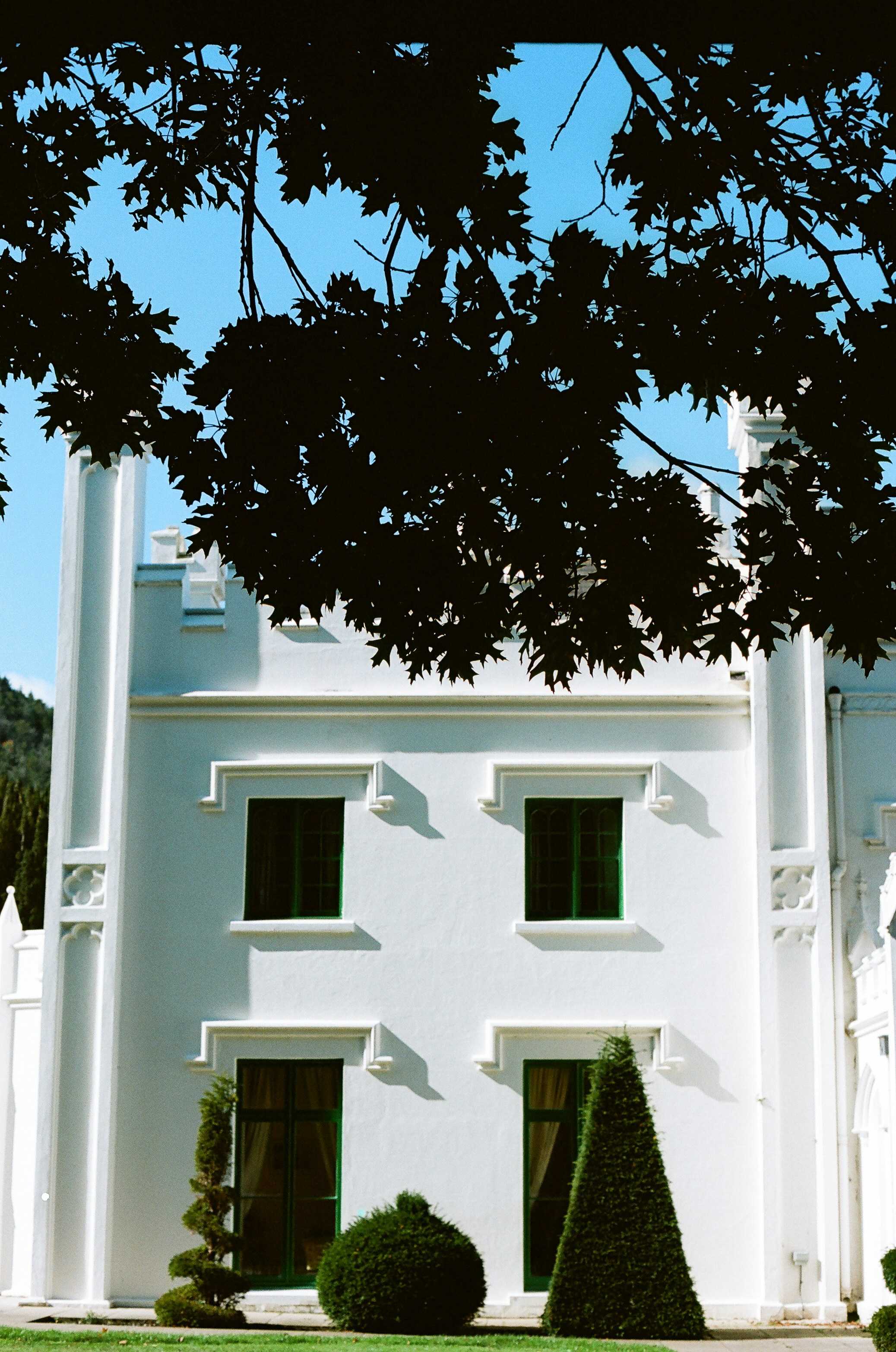 Photo by tanyabarrow