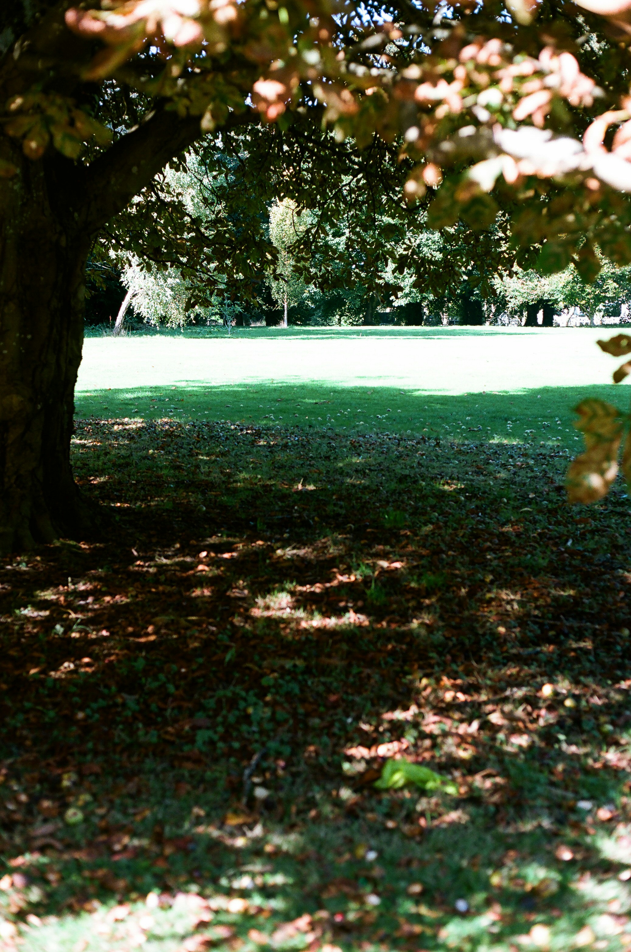 Photo by tanyabarrow