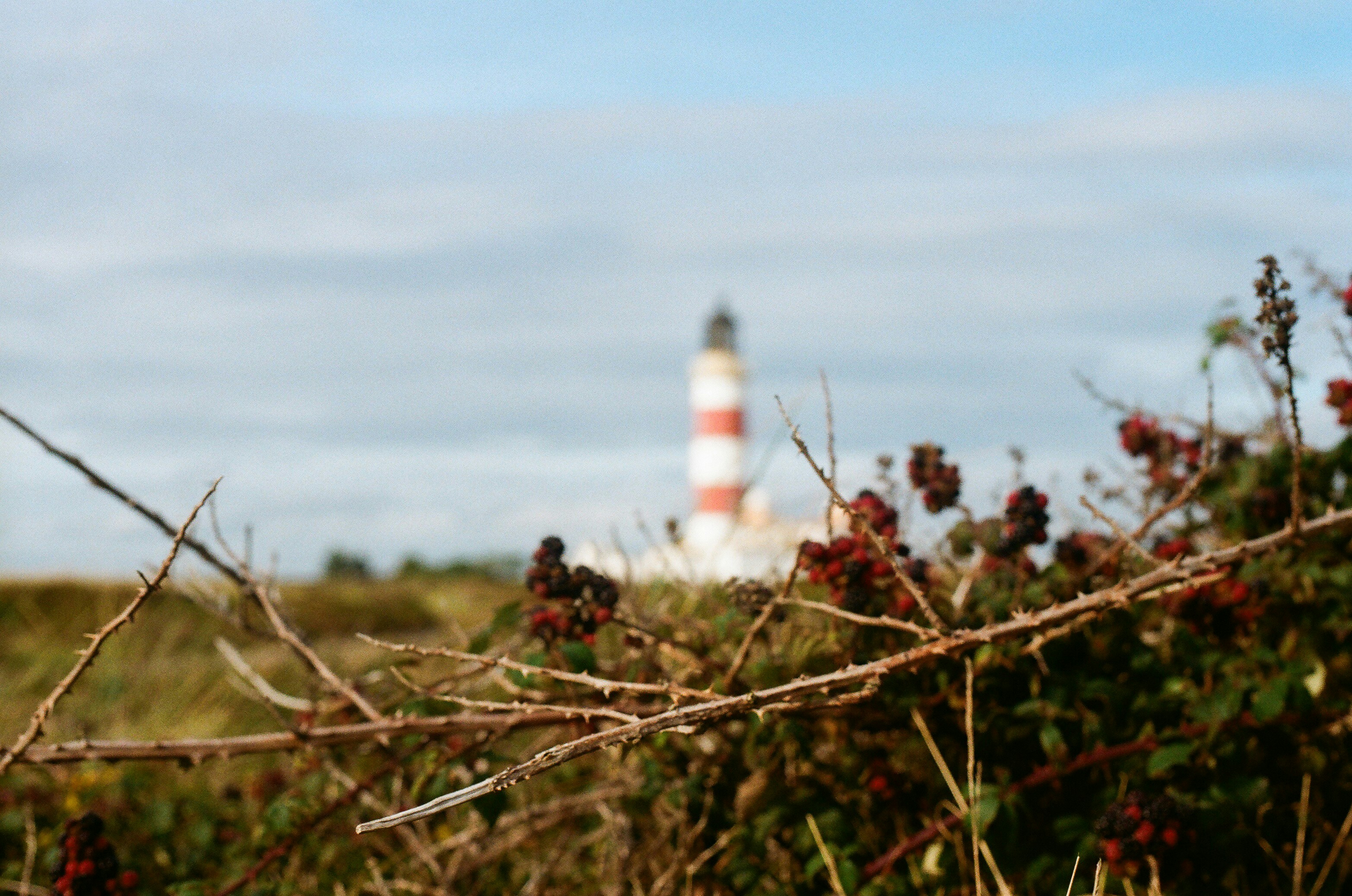 Photo by tanyabarrow