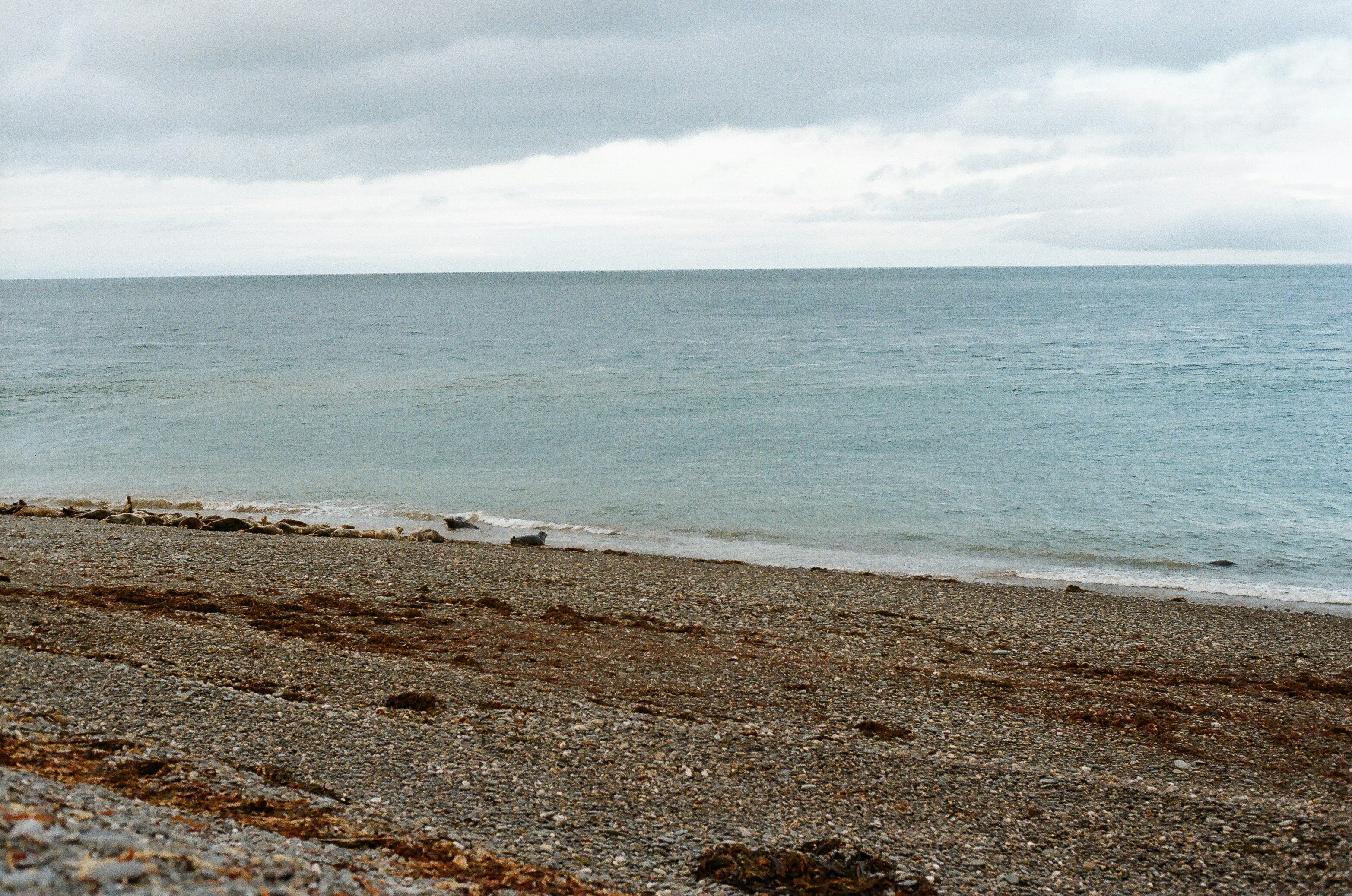 Photo by tanyabarrow