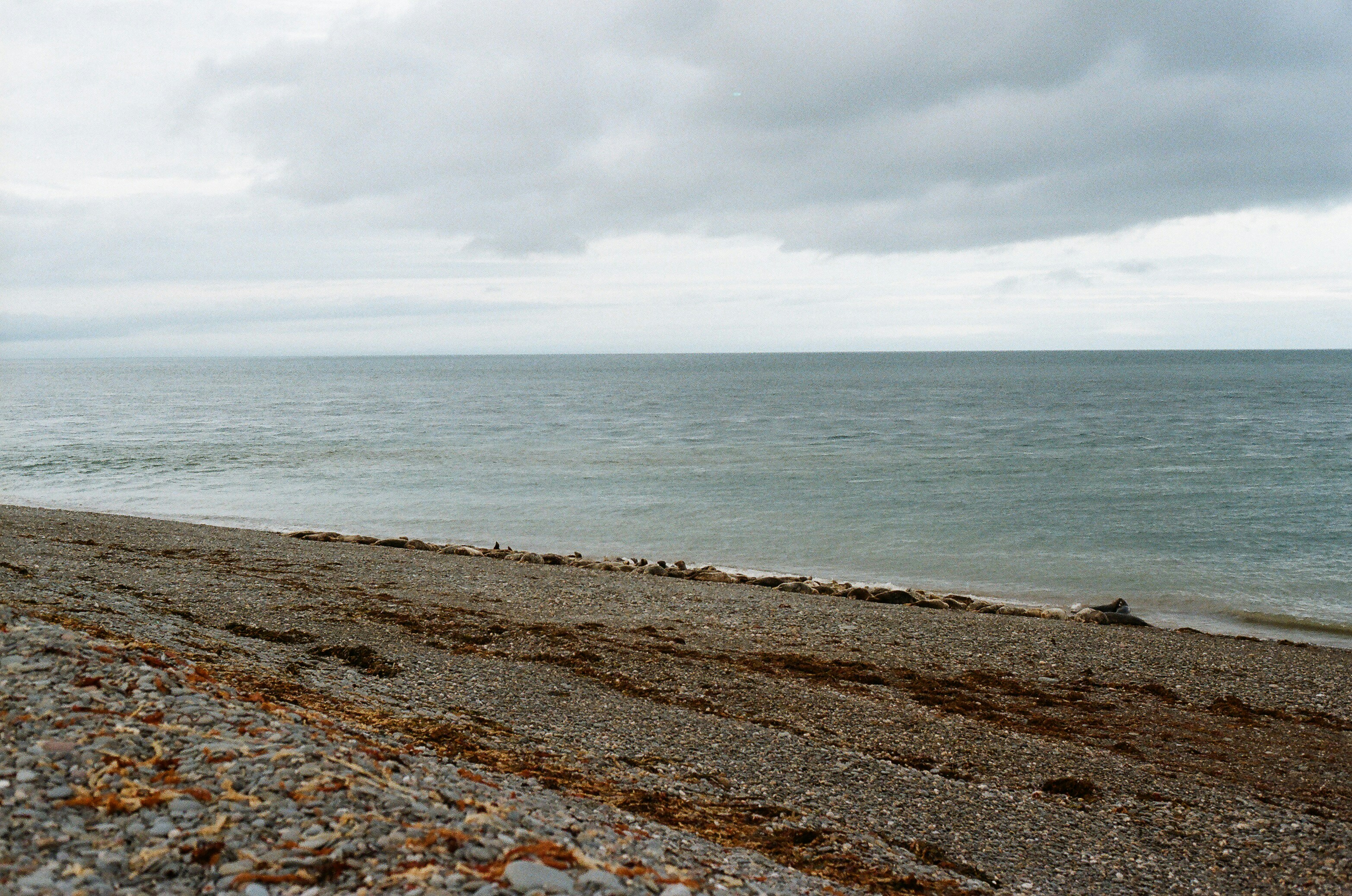 Photo by tanyabarrow