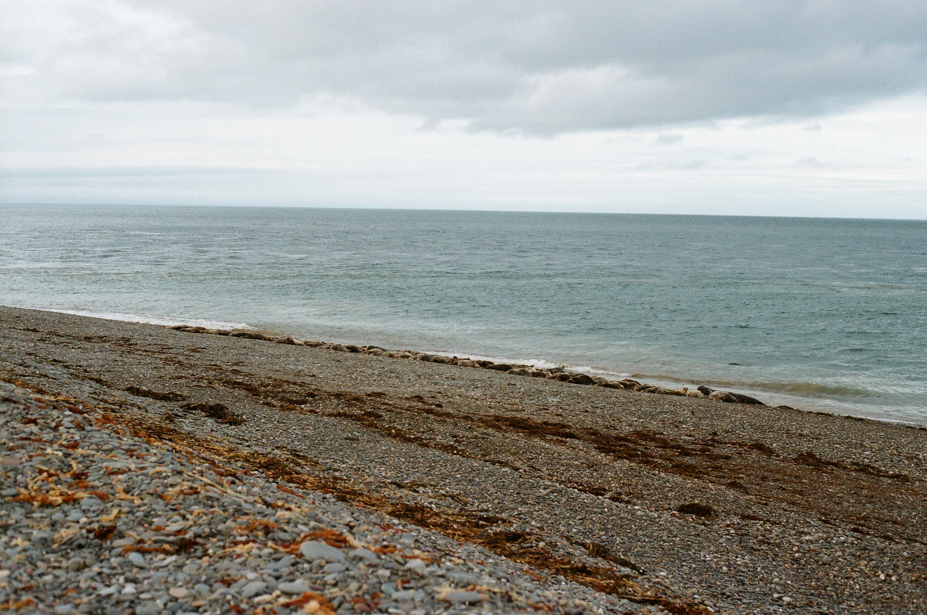 Photo by tanyabarrow