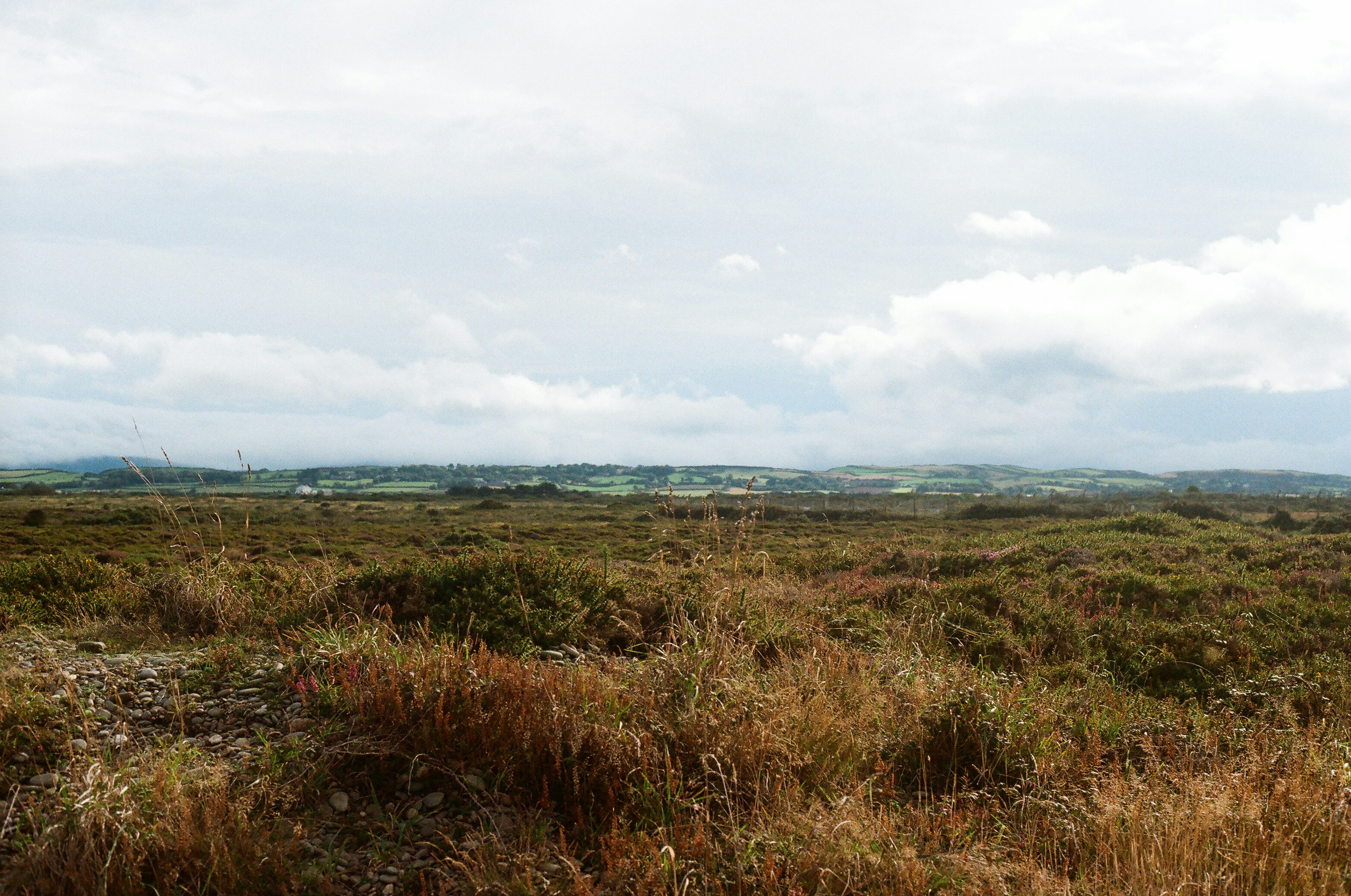 Photo by tanyabarrow