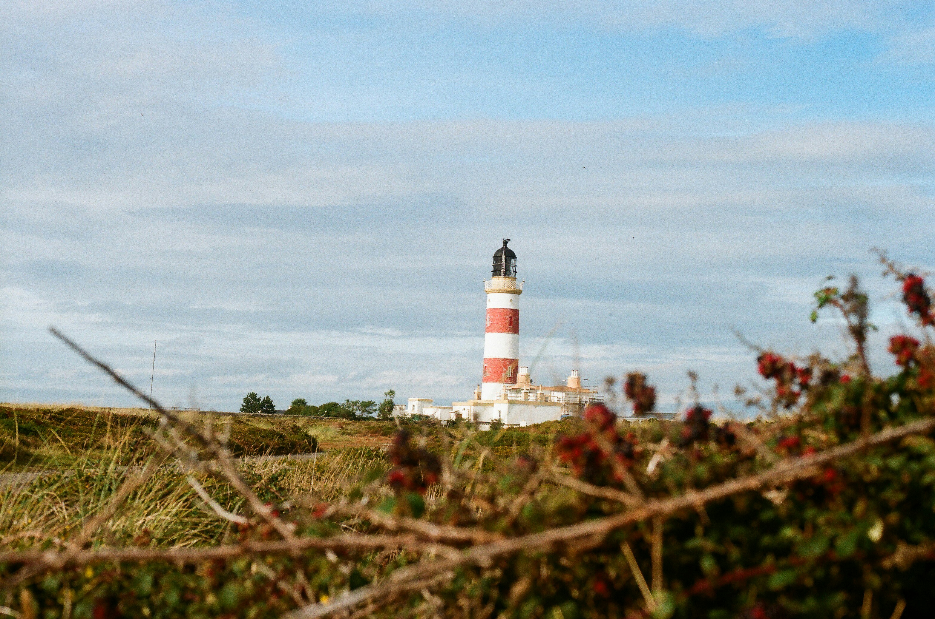 Photo by tanyabarrow