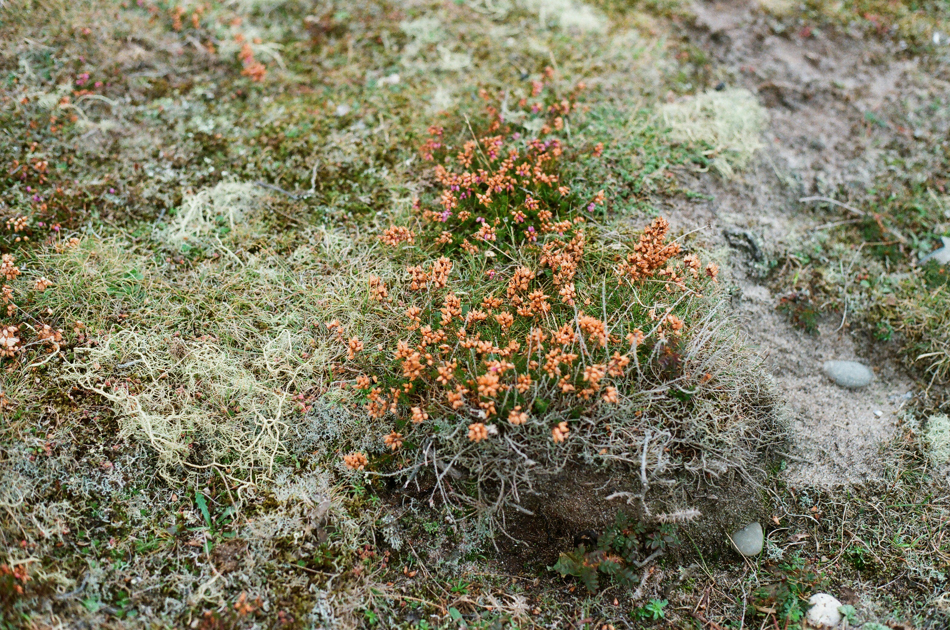 Photo by tanyabarrow