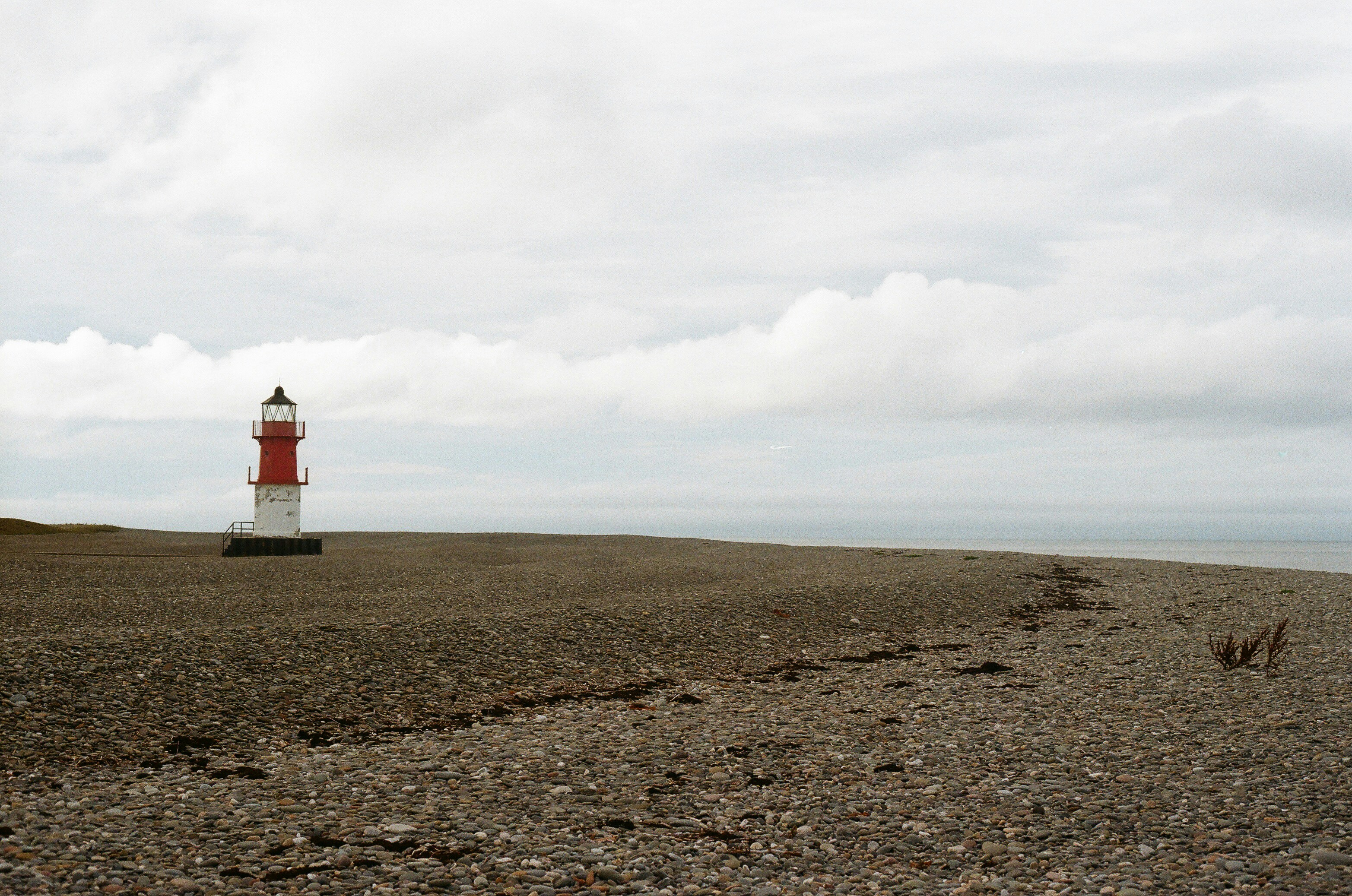 Photo by tanyabarrow