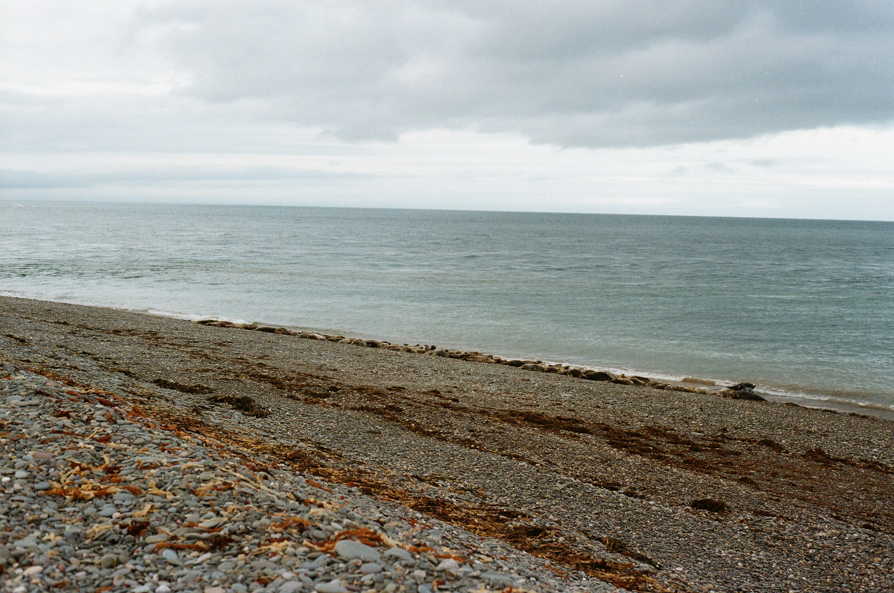 Photo by tanyabarrow