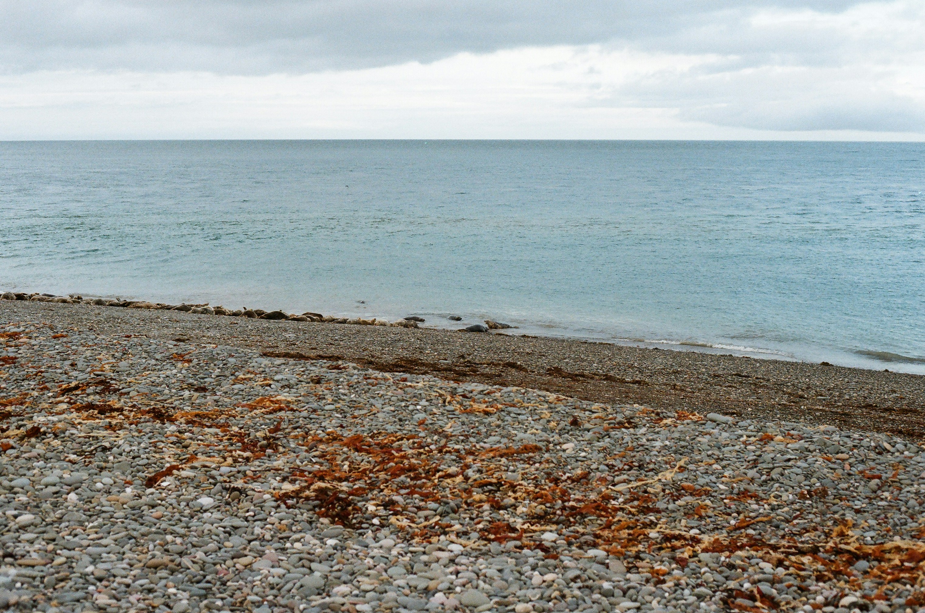 Photo by tanyabarrow