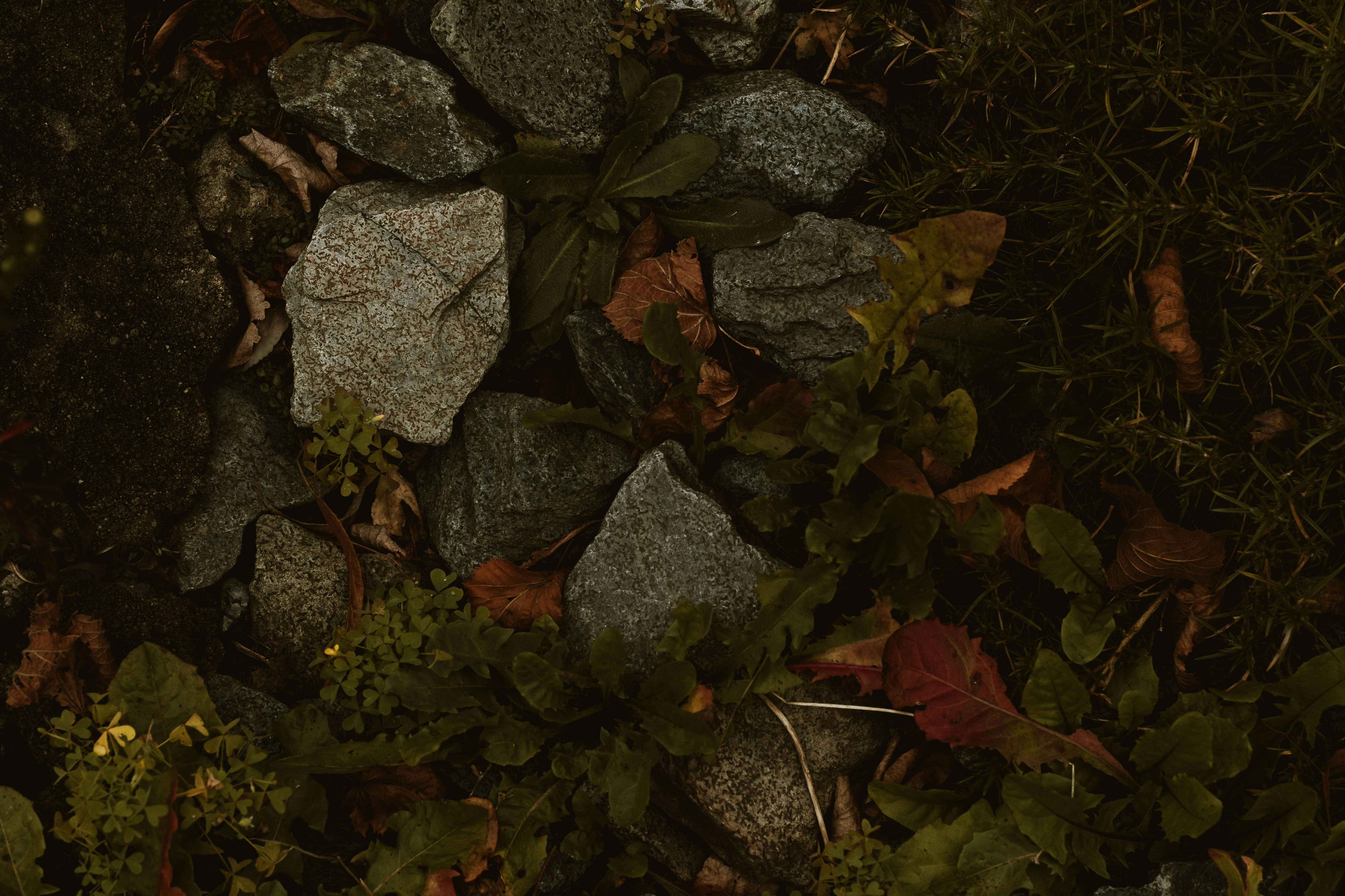 Photo by arlindphotography