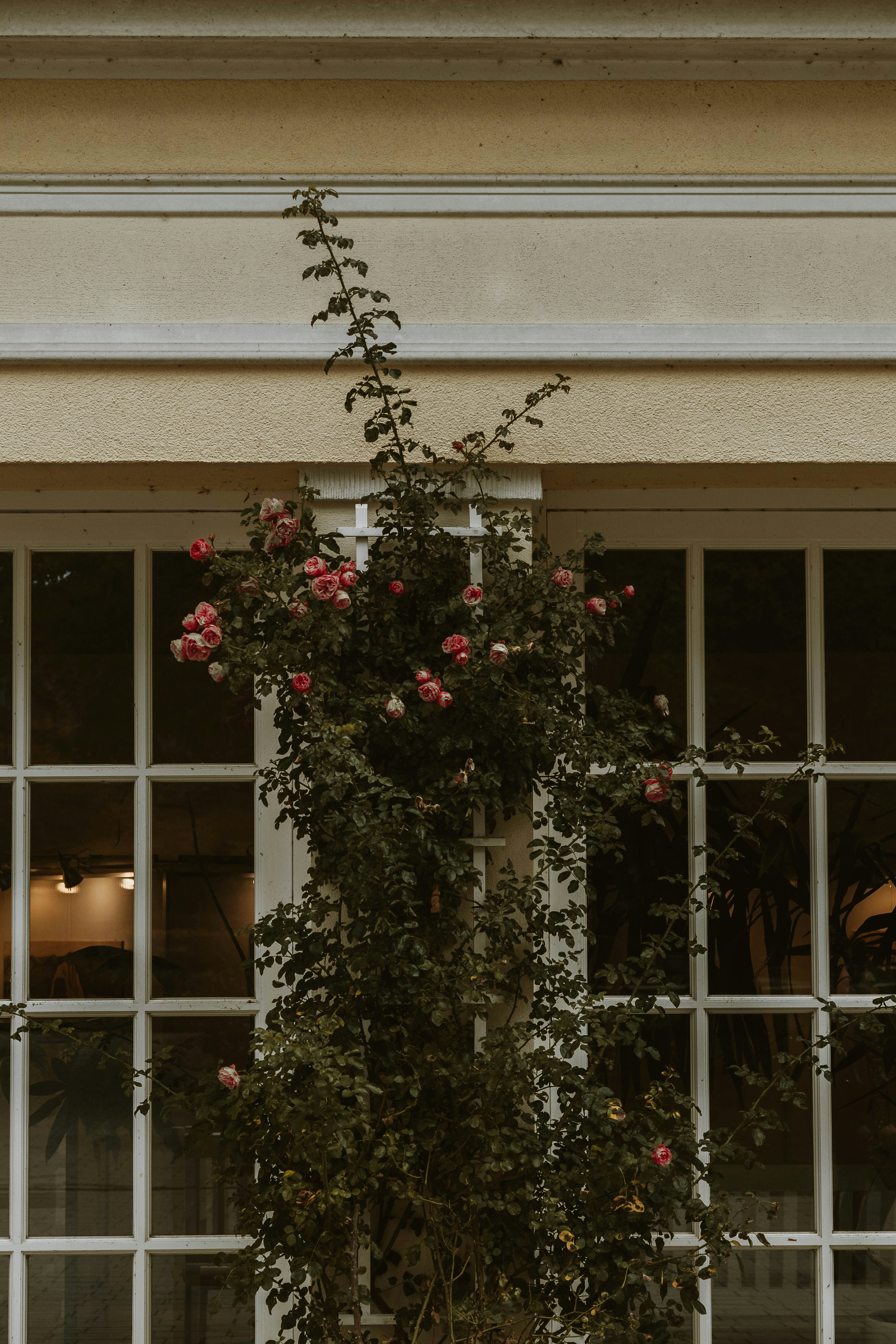 Photo by arlindphotography