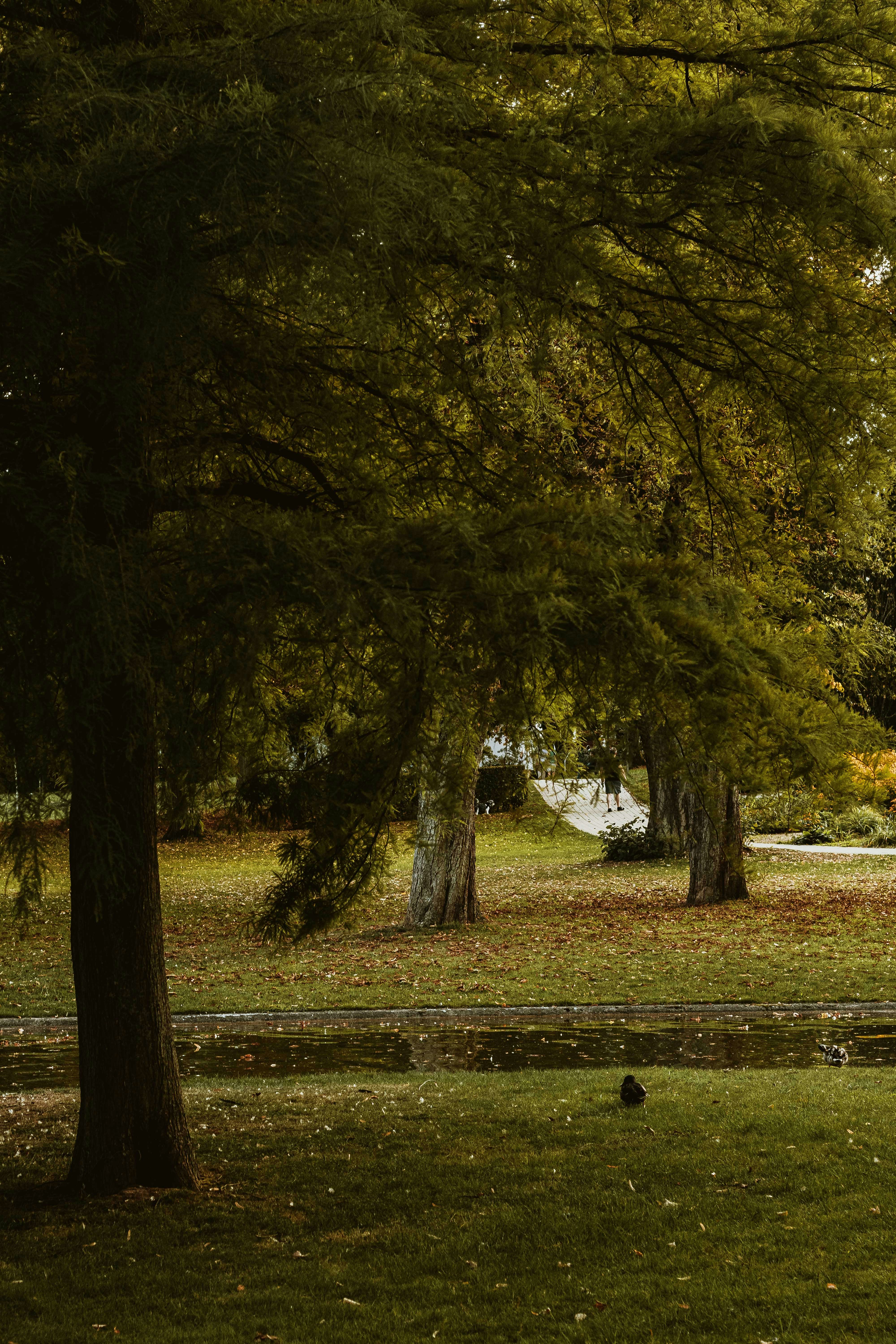 Photo by arlindphotography