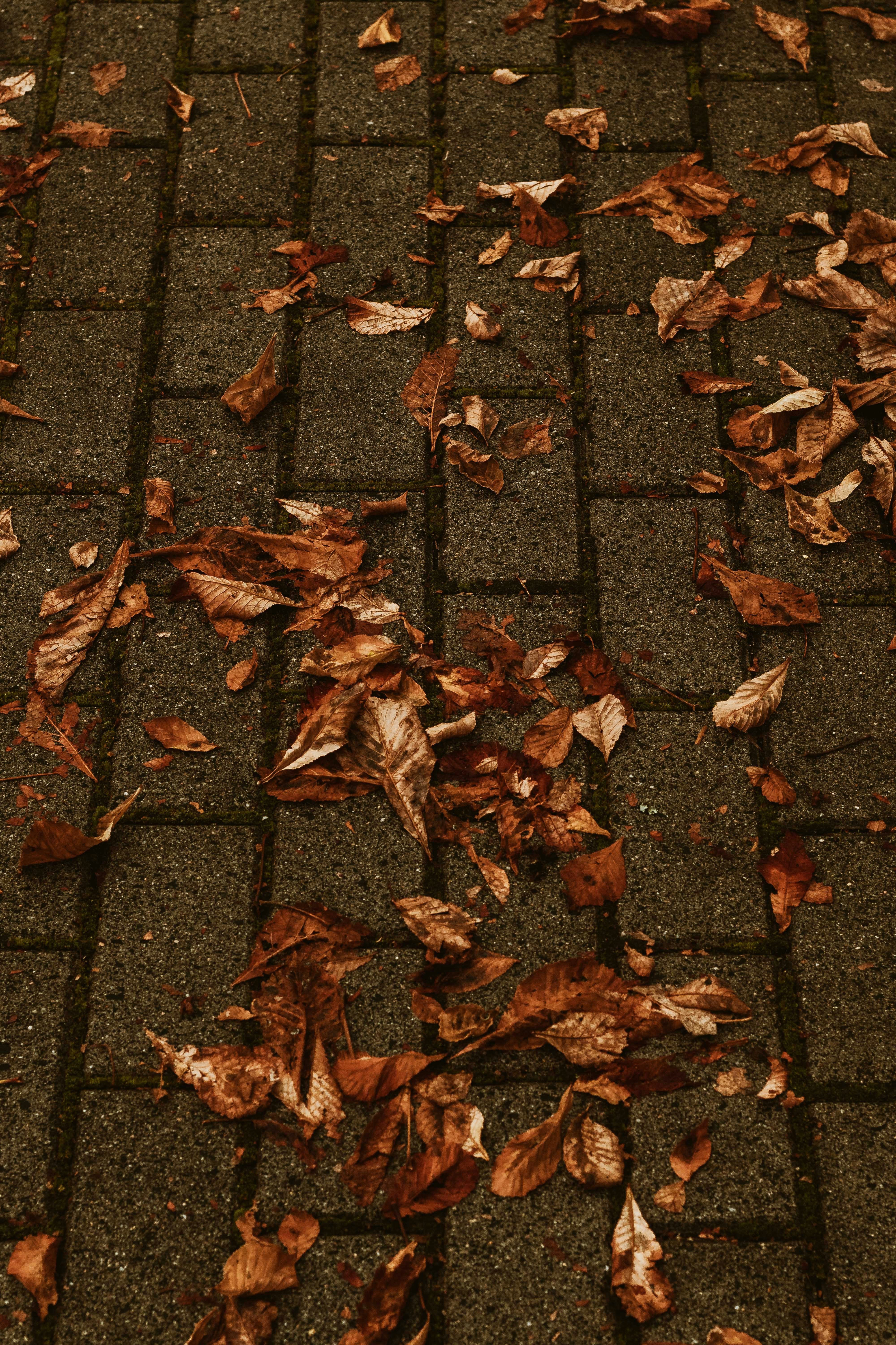 Photo by arlindphotography