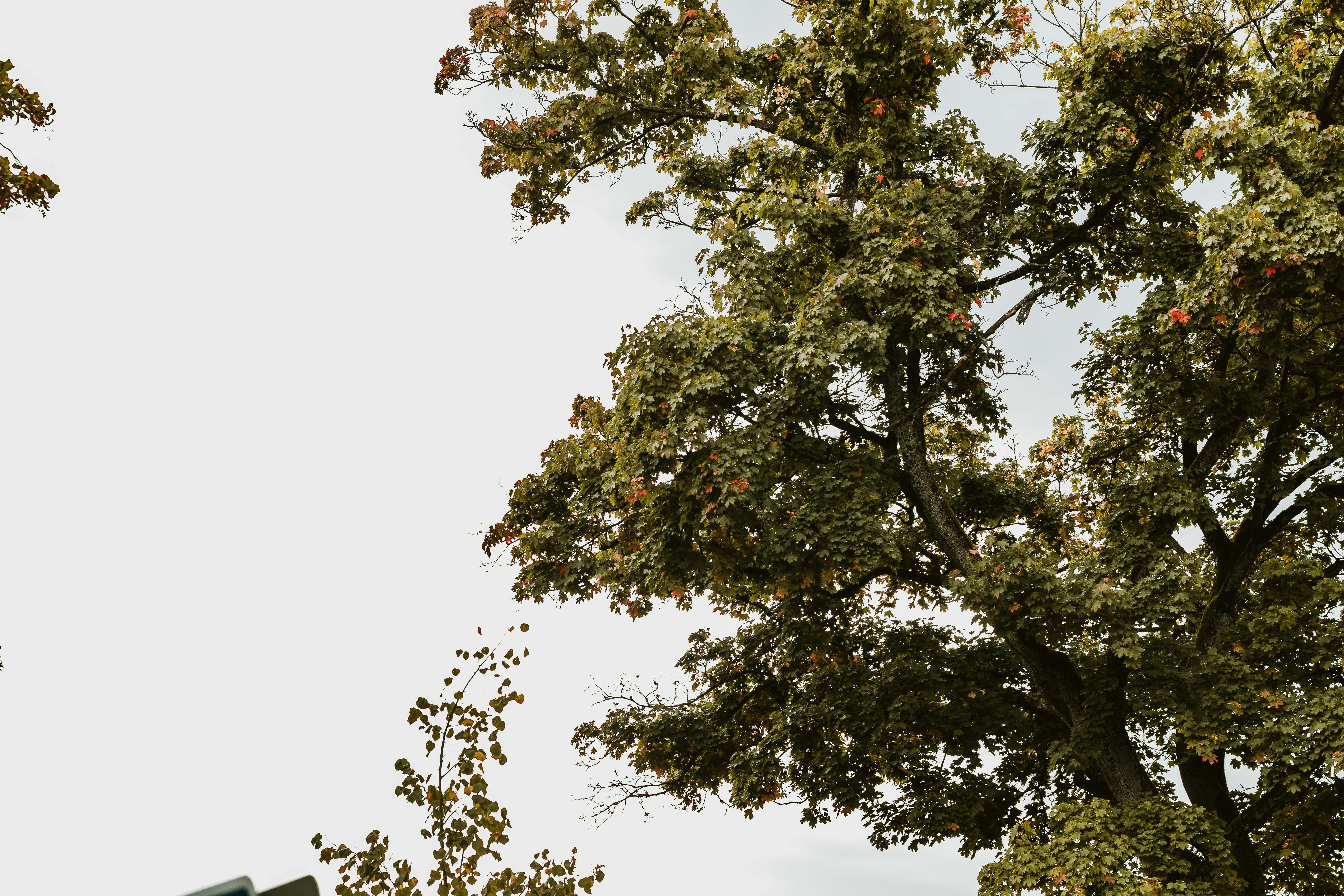 Photo by arlindphotography