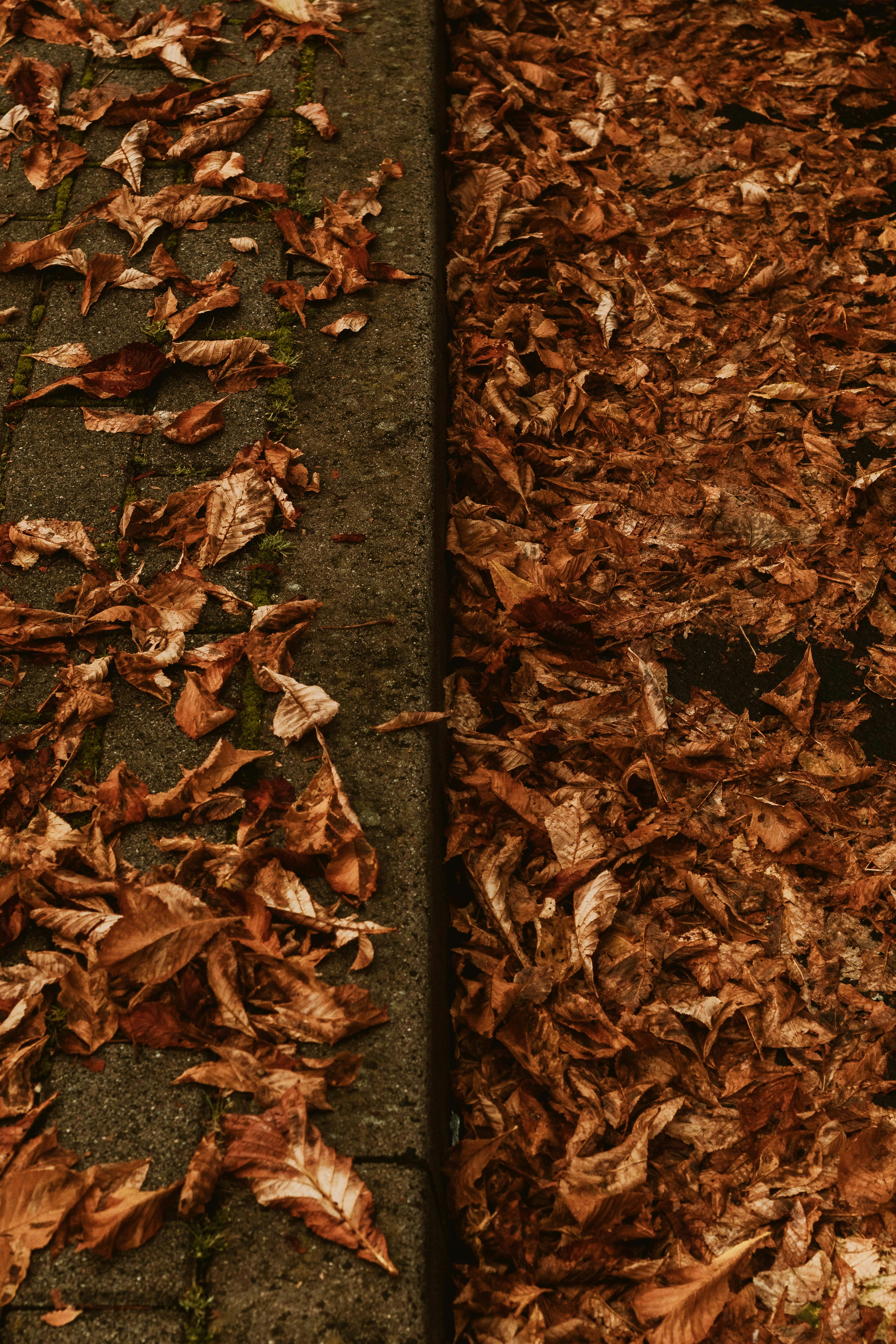 Photo by arlindphotography