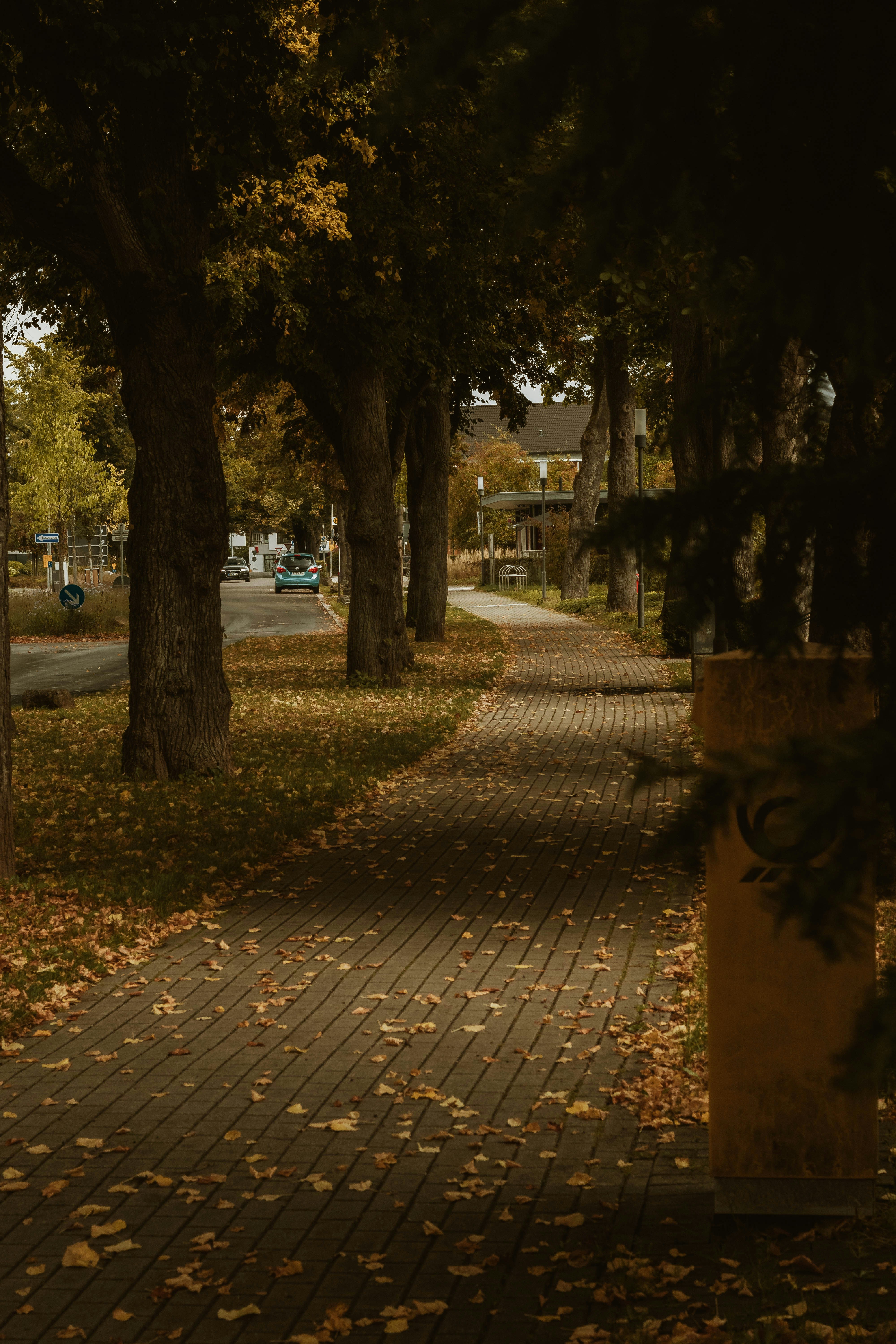 Photo by arlindphotography